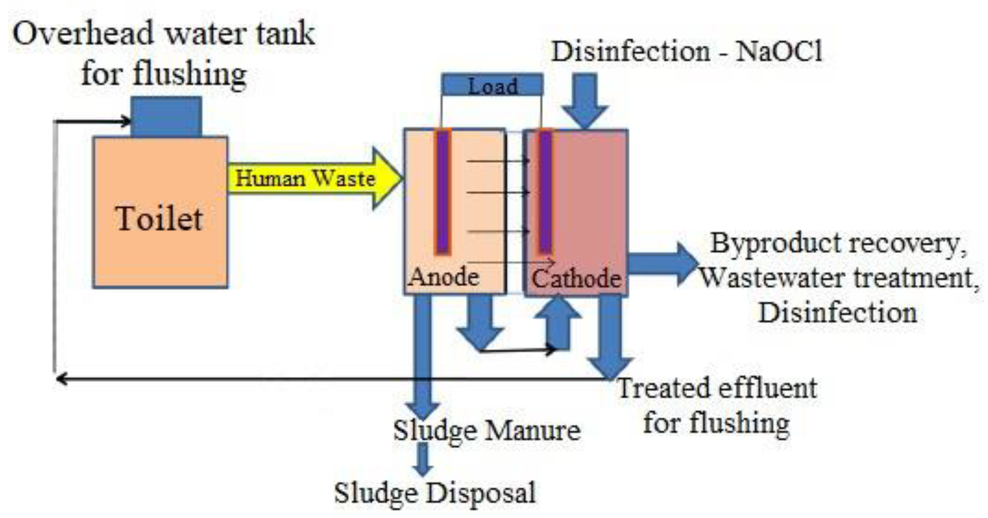 Biotech 11 00036 g006