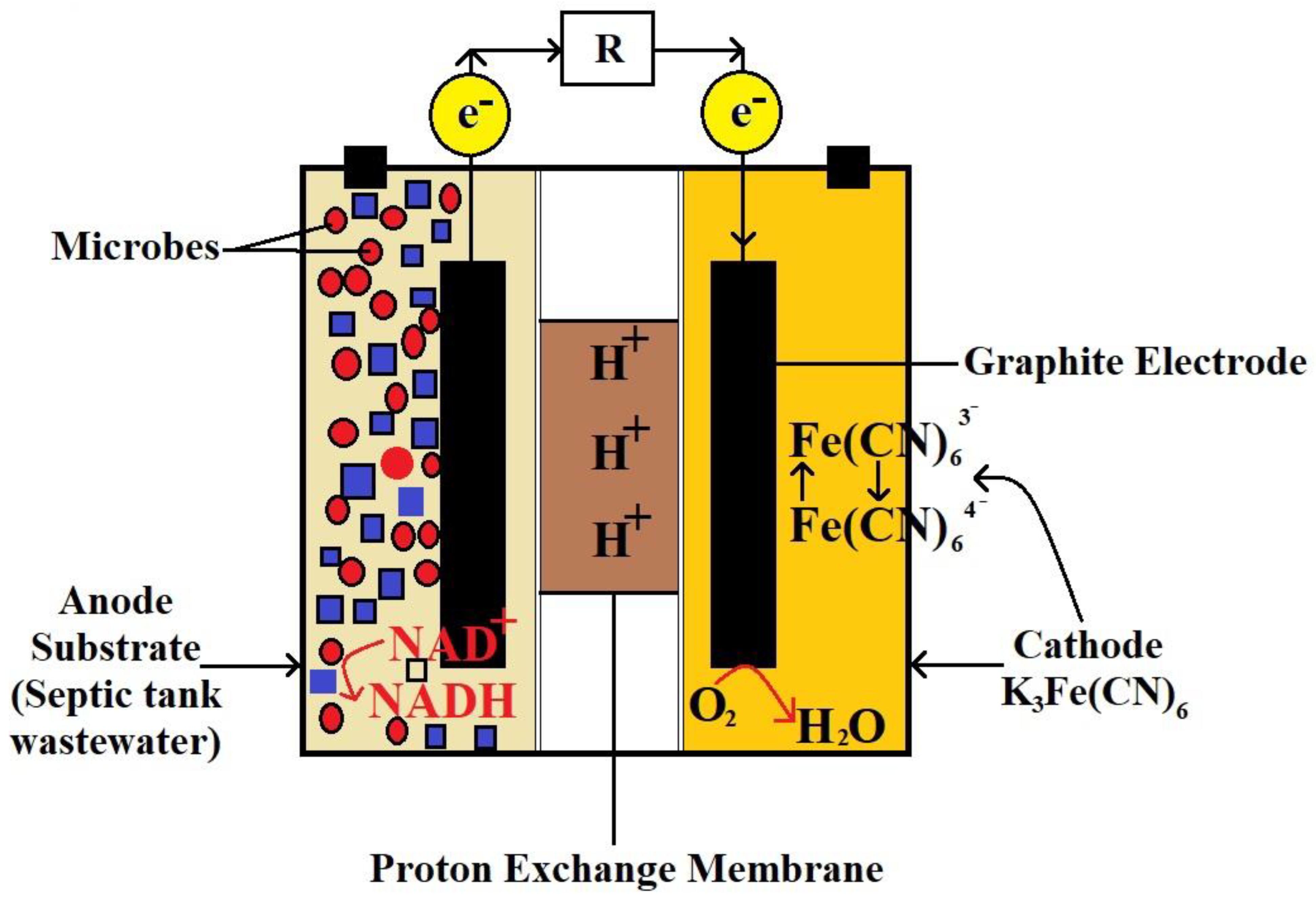 Biotech 11 00036 g009