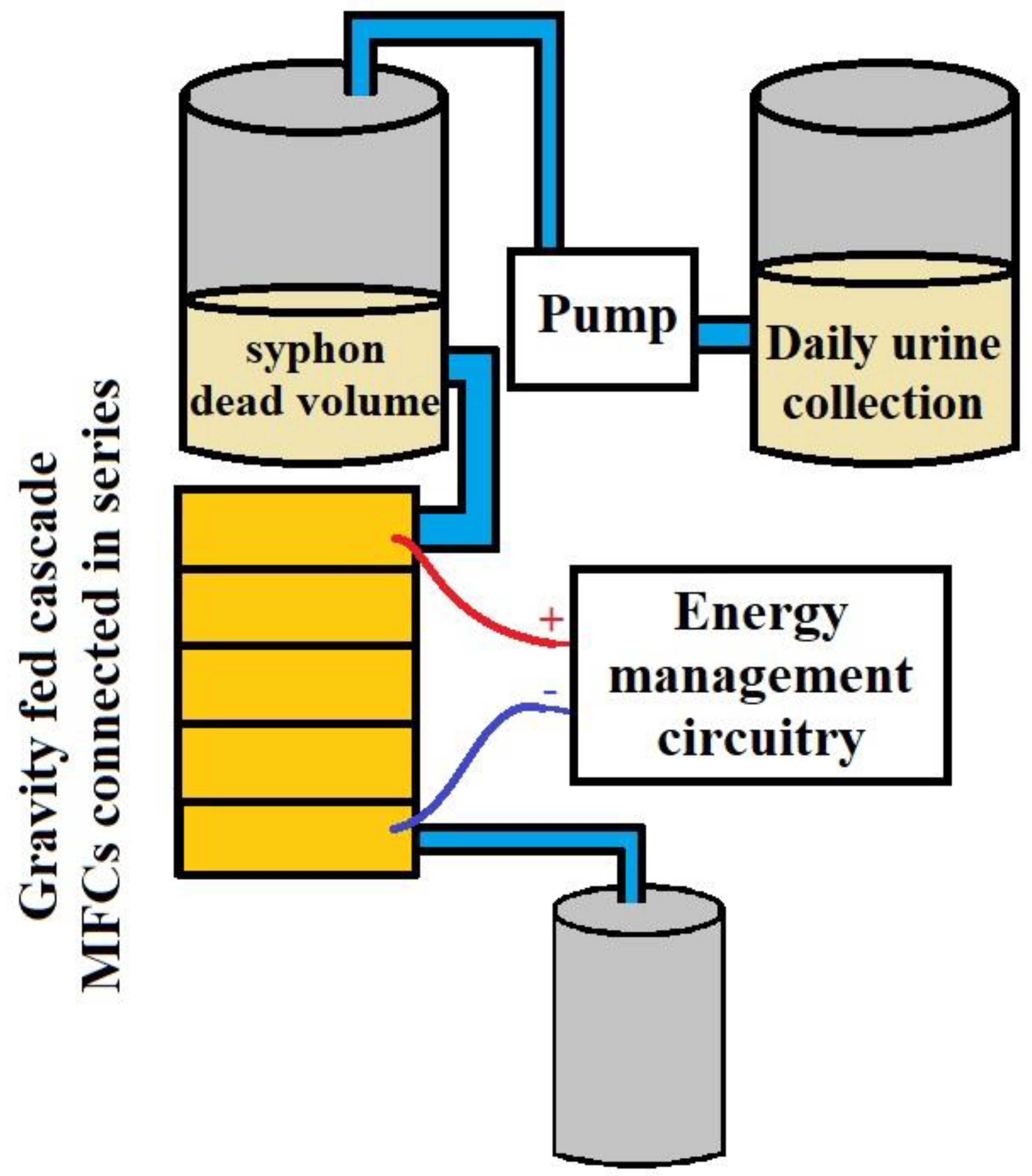 Biotech 11 00036 g010