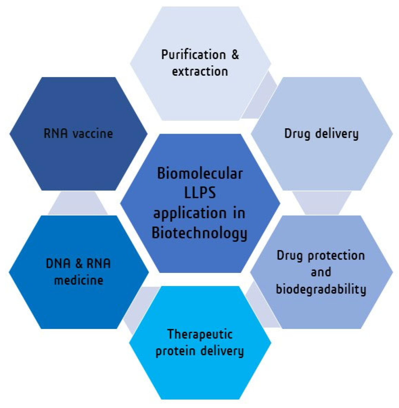 BioTech | Free Full-Text | Biomolecular Liquid–Liquid Phase Separation ...