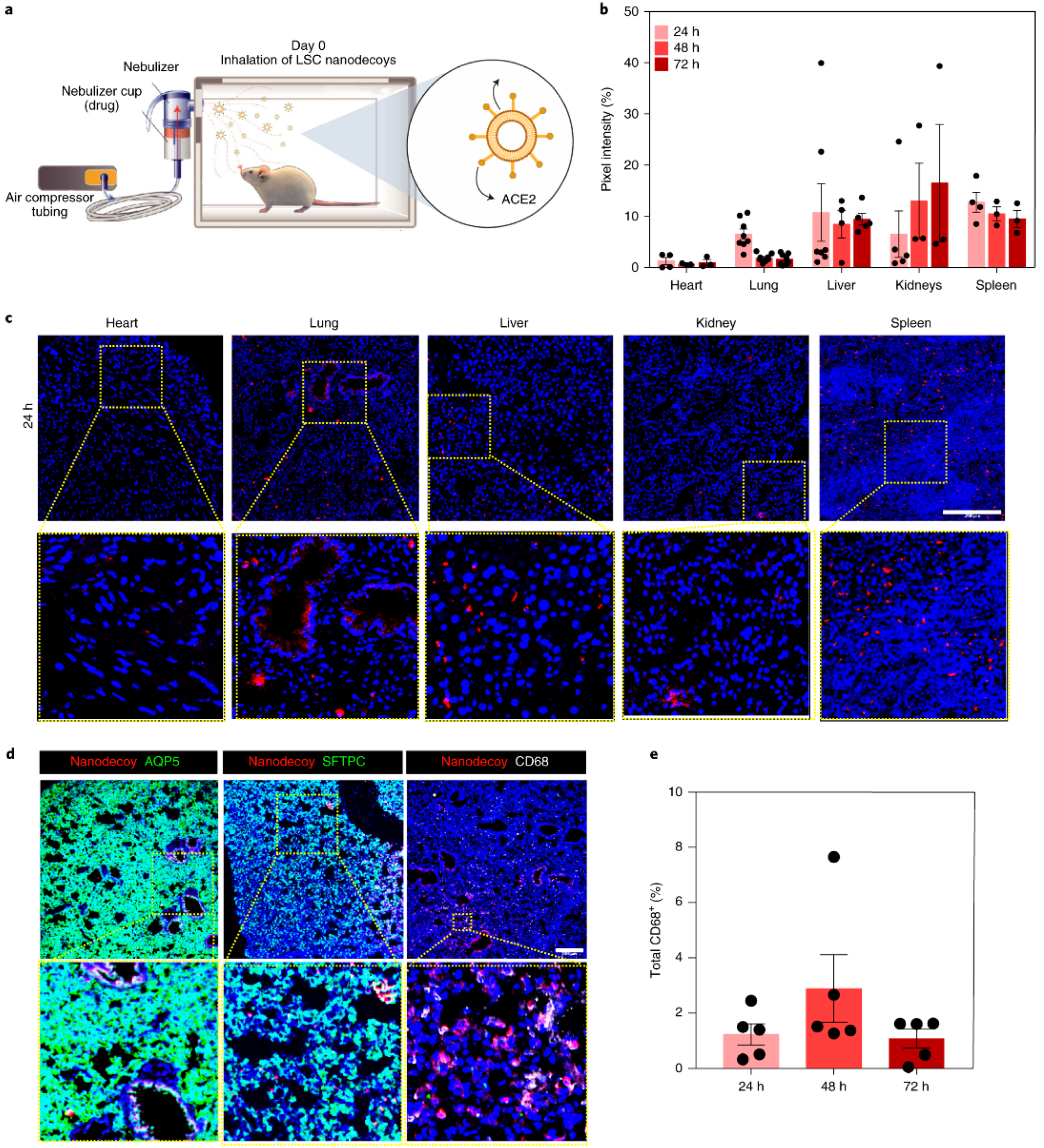 Biotech 12 00034 g004 Biotech 12 00034 g004