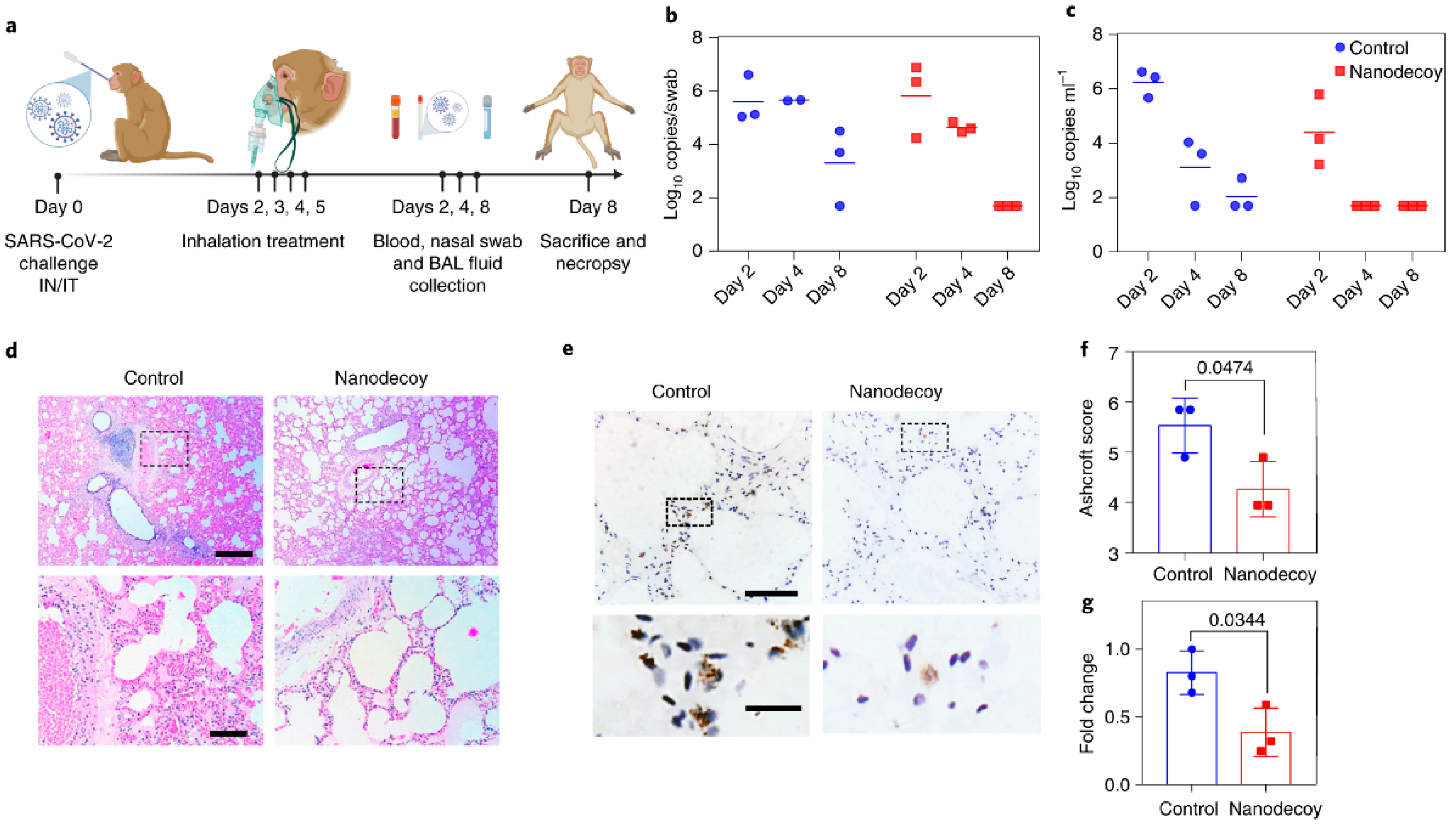 Biotech 12 00034 g005 Biotech 12 00034 g005
