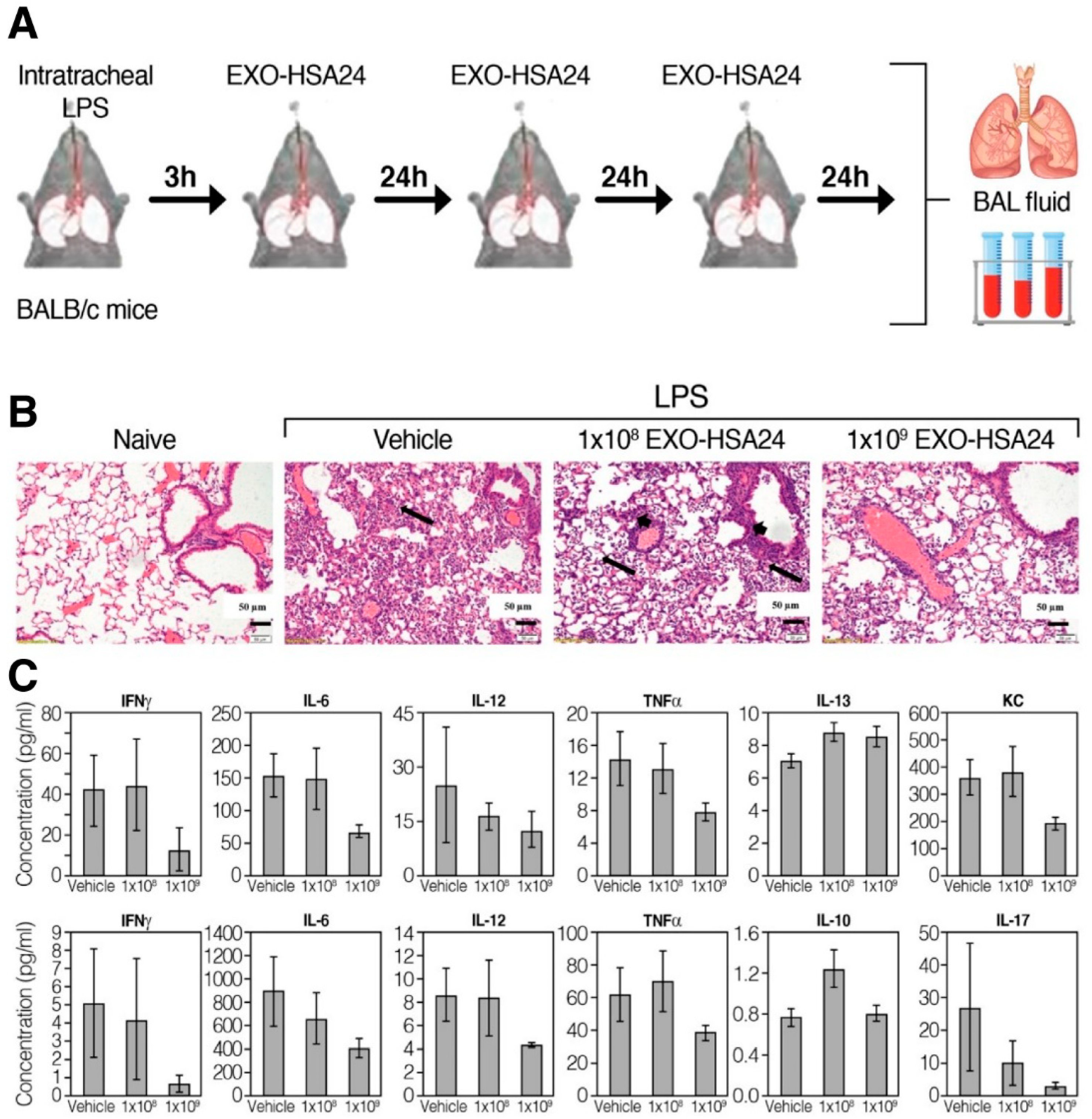 Biotech 12 00034 g006 Biotech 12 00034 g006