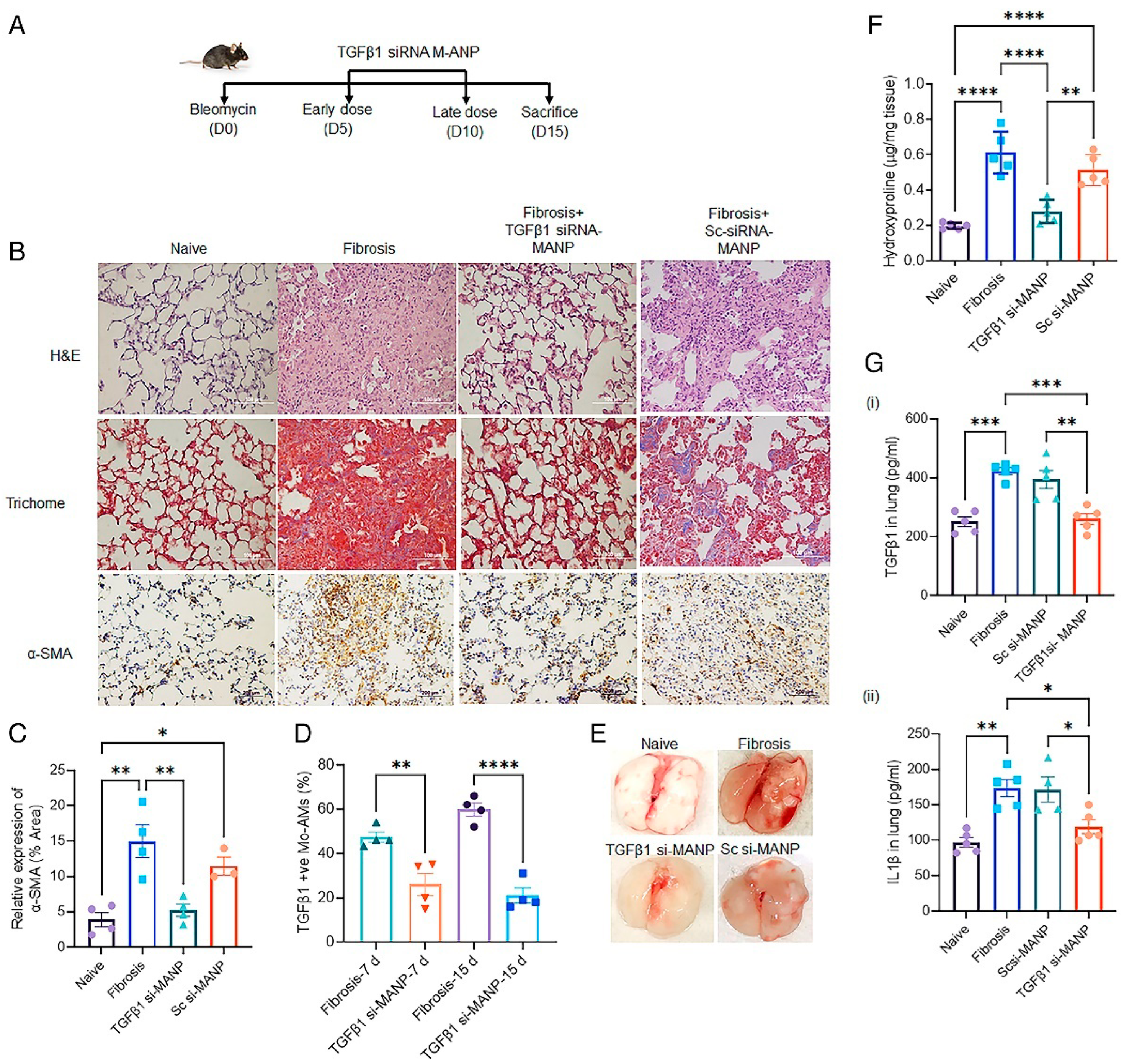 Biotech 12 00034 g009 Biotech 12 00034 g009