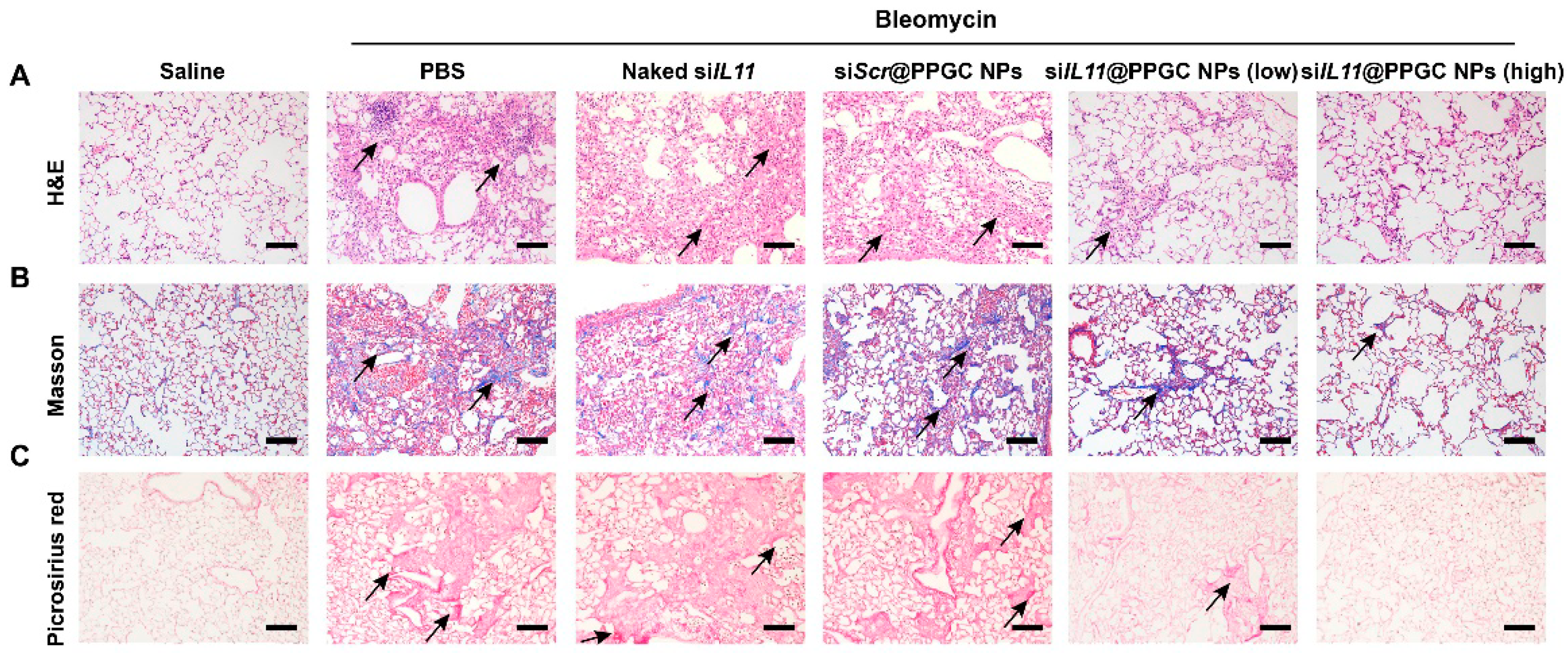Biotech 12 00034 g011 Biotech 12 00034 g011