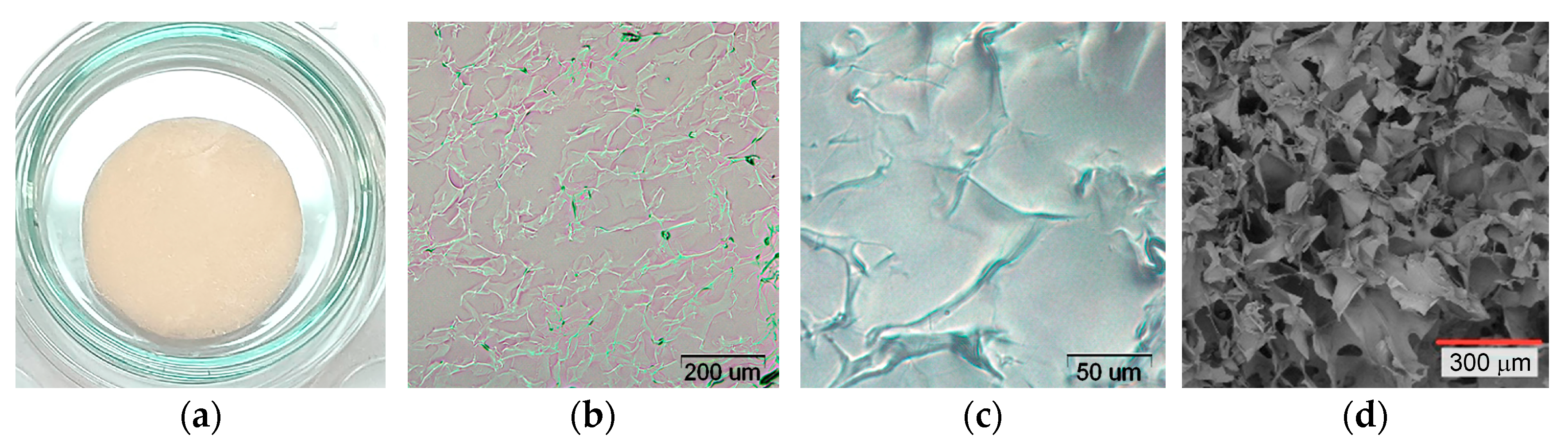 Biotech 12 00055 g007