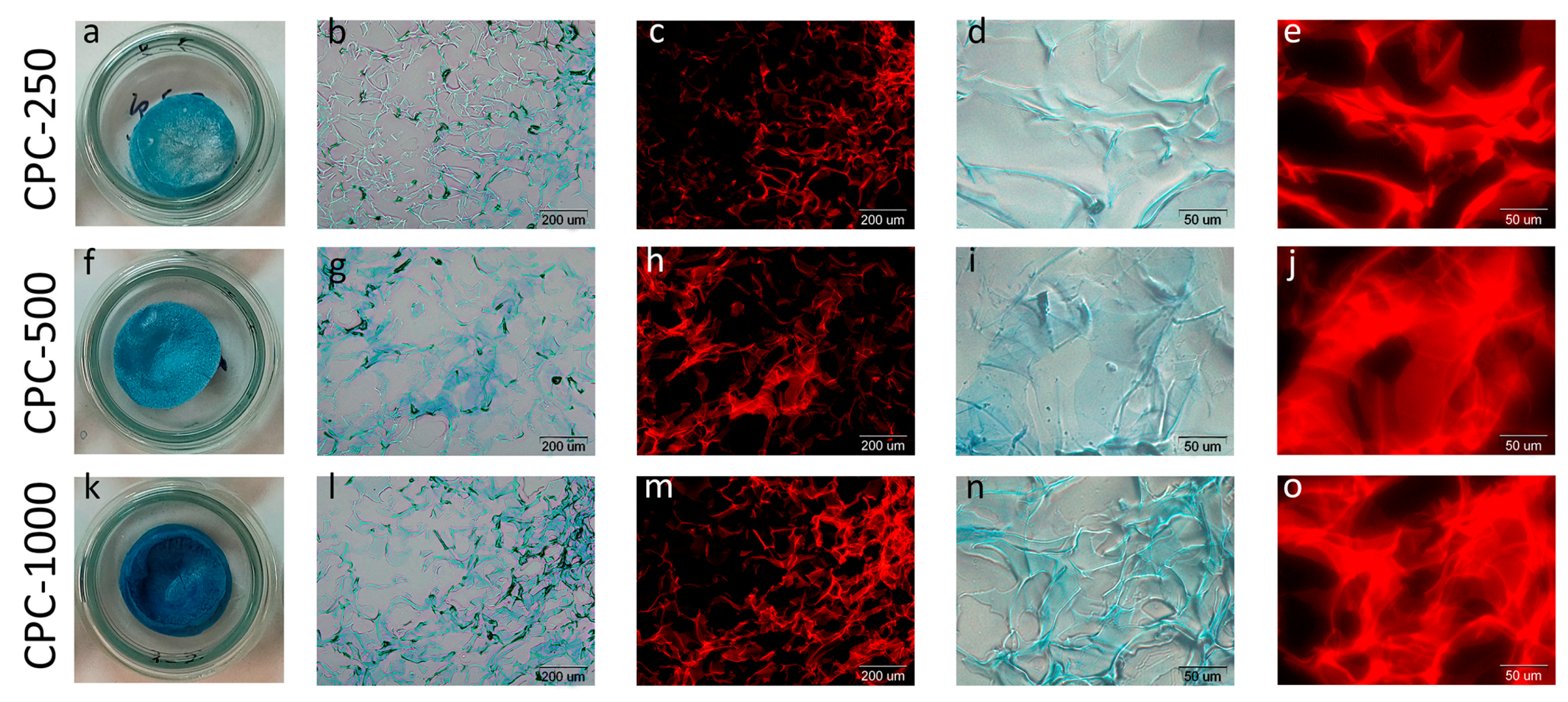 Biotech 12 00055 g009