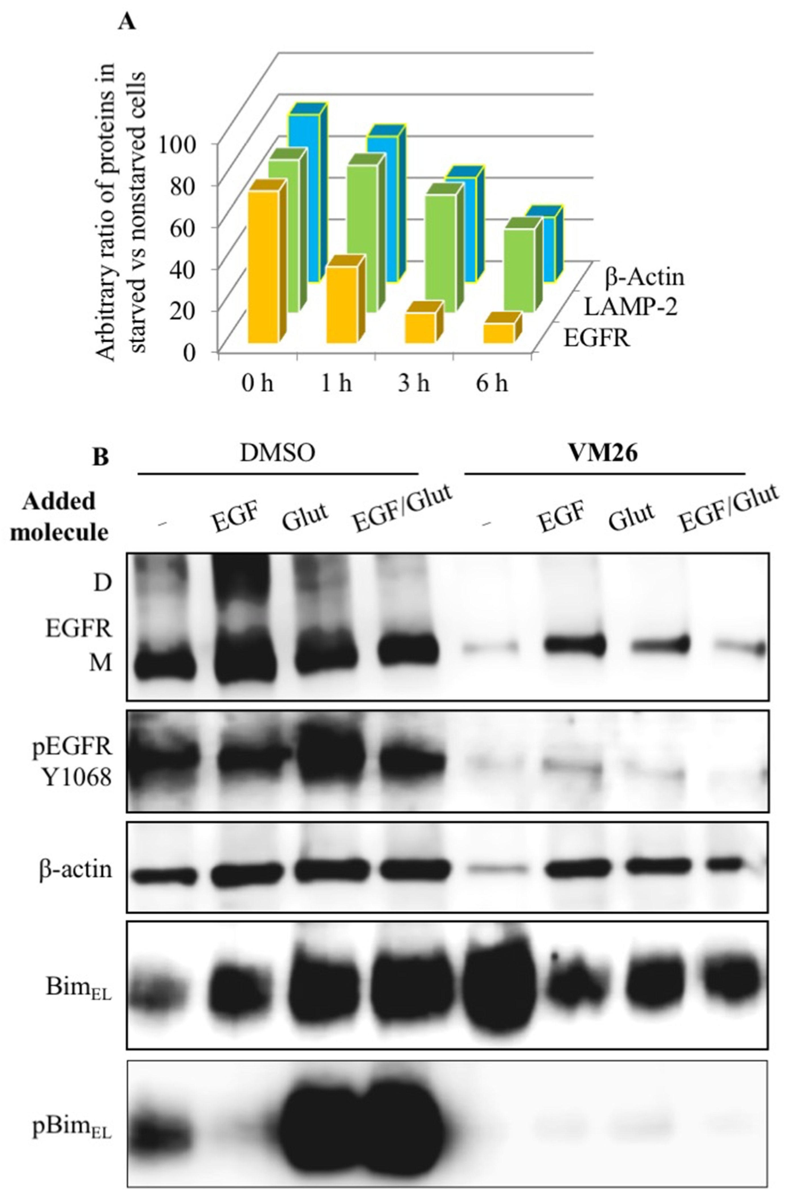 Biotech 12 00057 g005