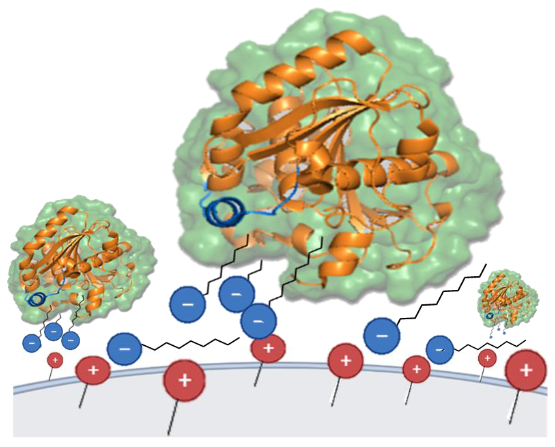 Biotech 12 00067 g006