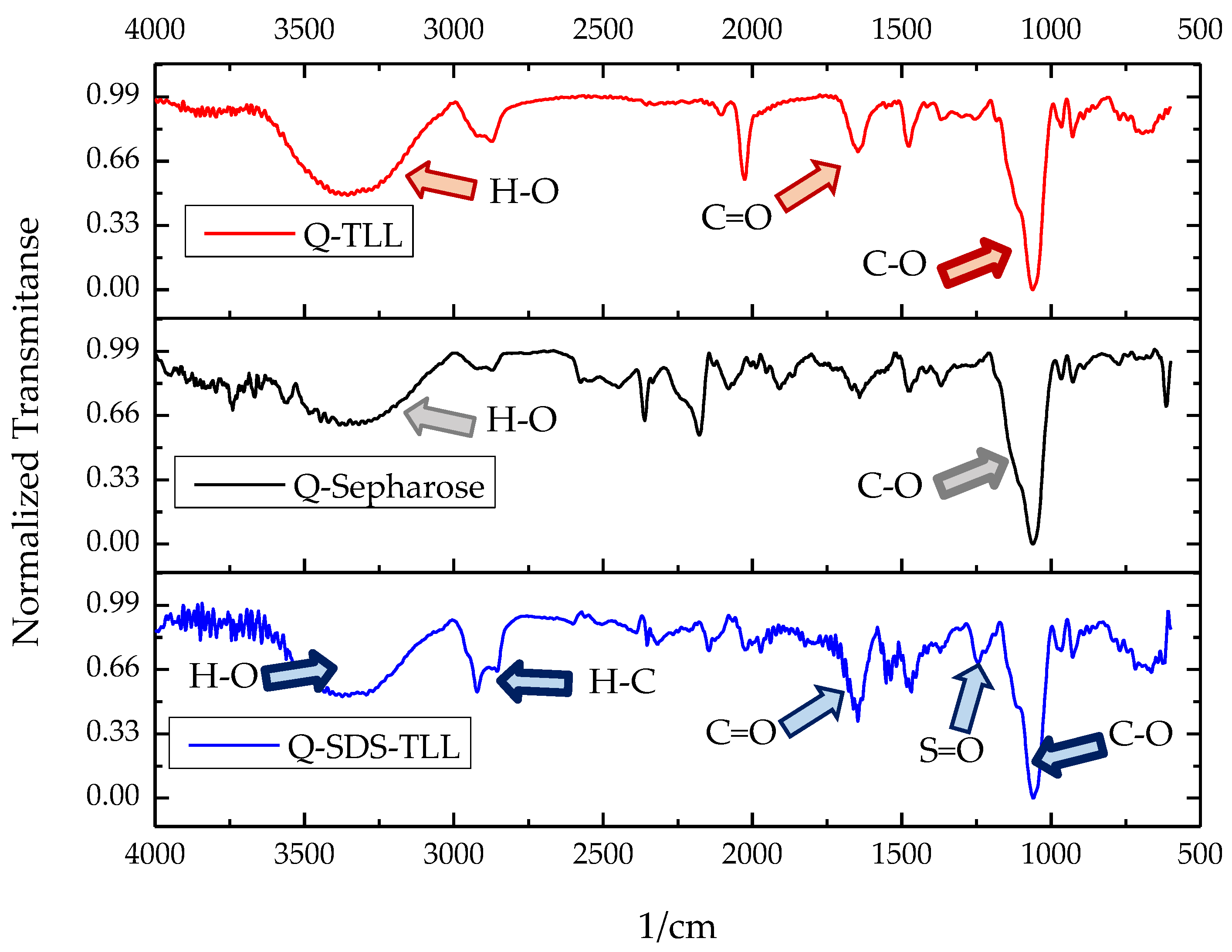 Biotech 12 00067 g007