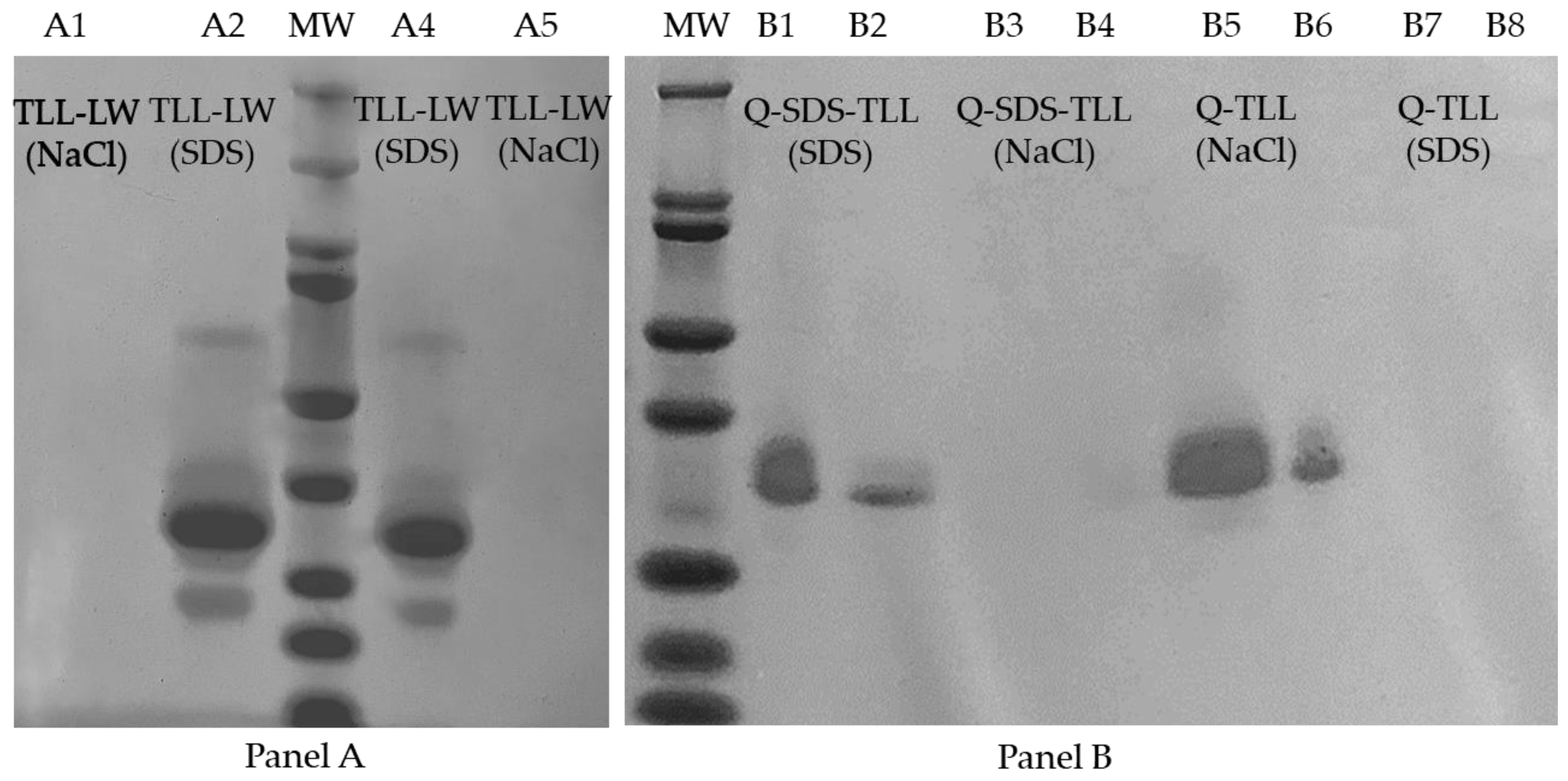 Biotech 12 00067 g008