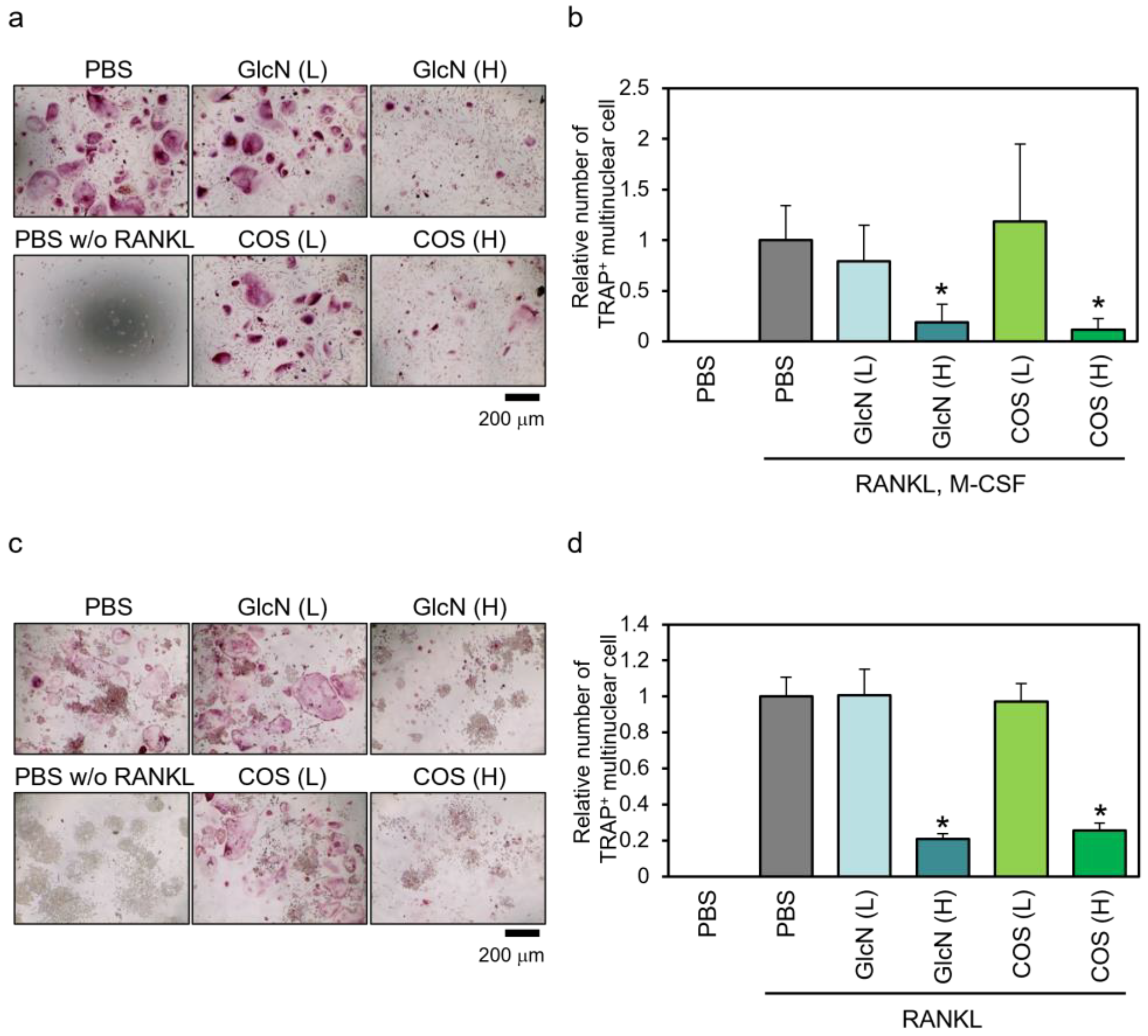 Biotech 13 00006 g003