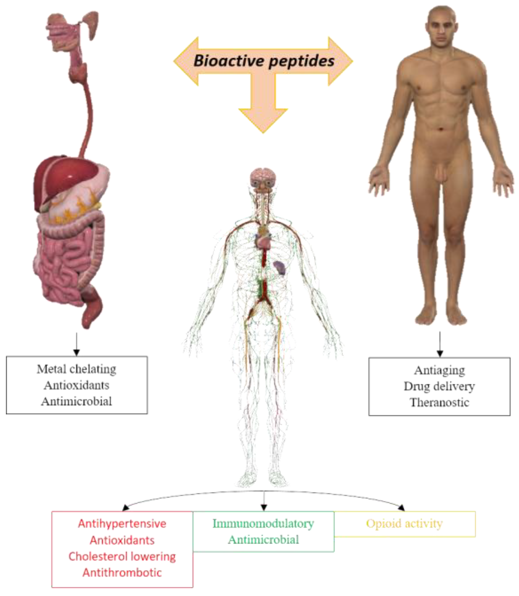 Biotech 13 00009 g001