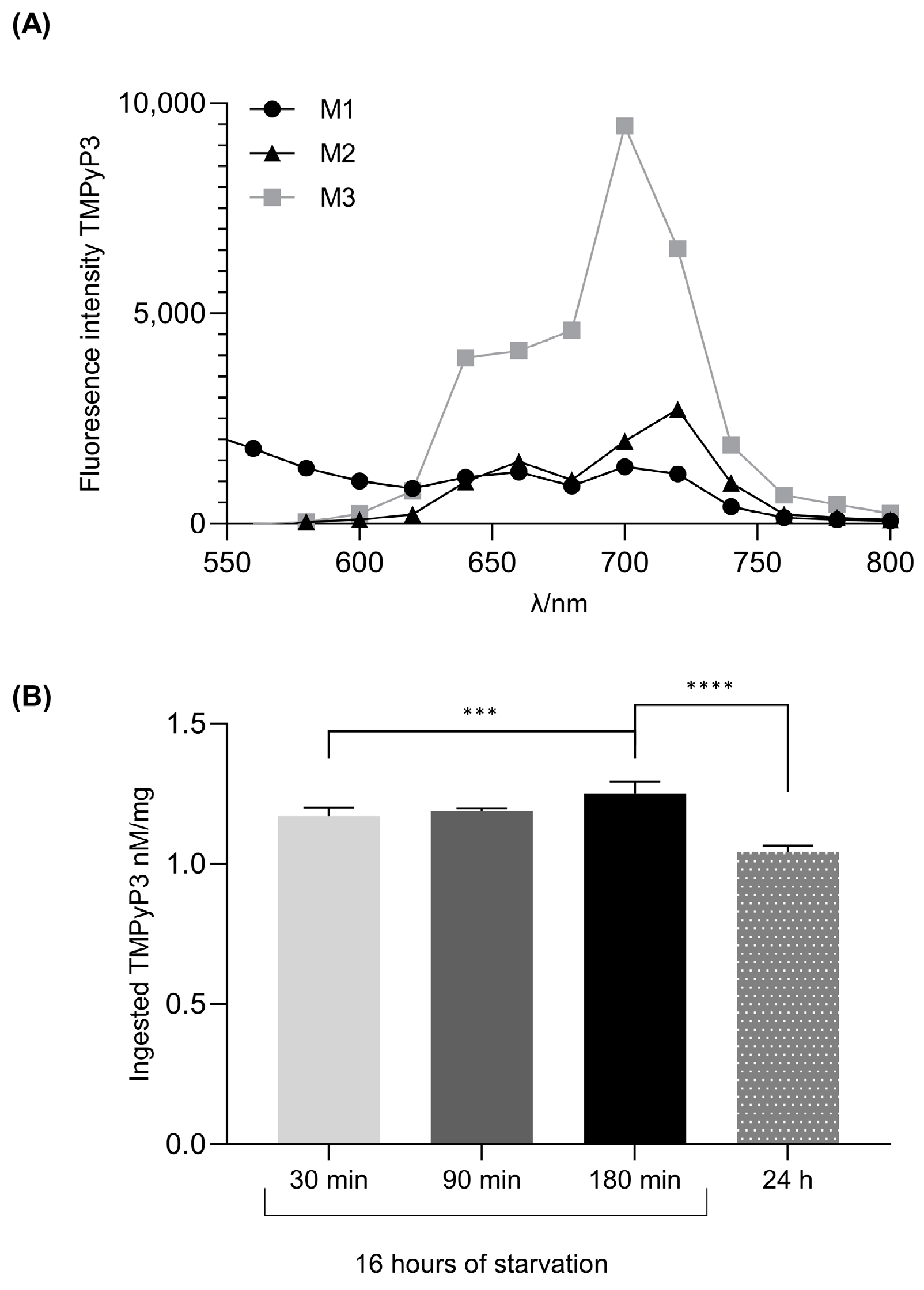 Biotech 13 00023 g003 Biotech 13 00023 g003