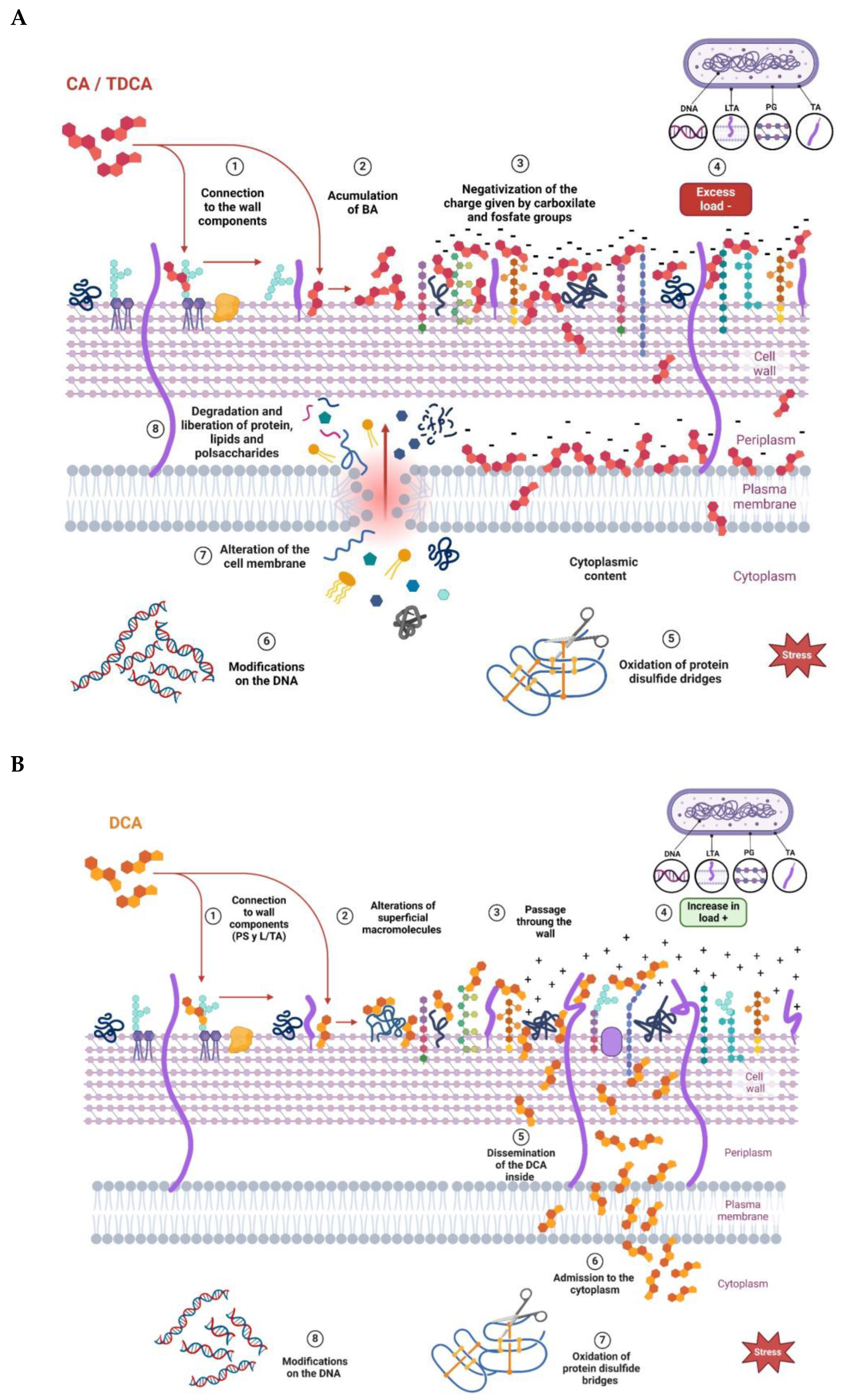 Biotech 13 00029 g006