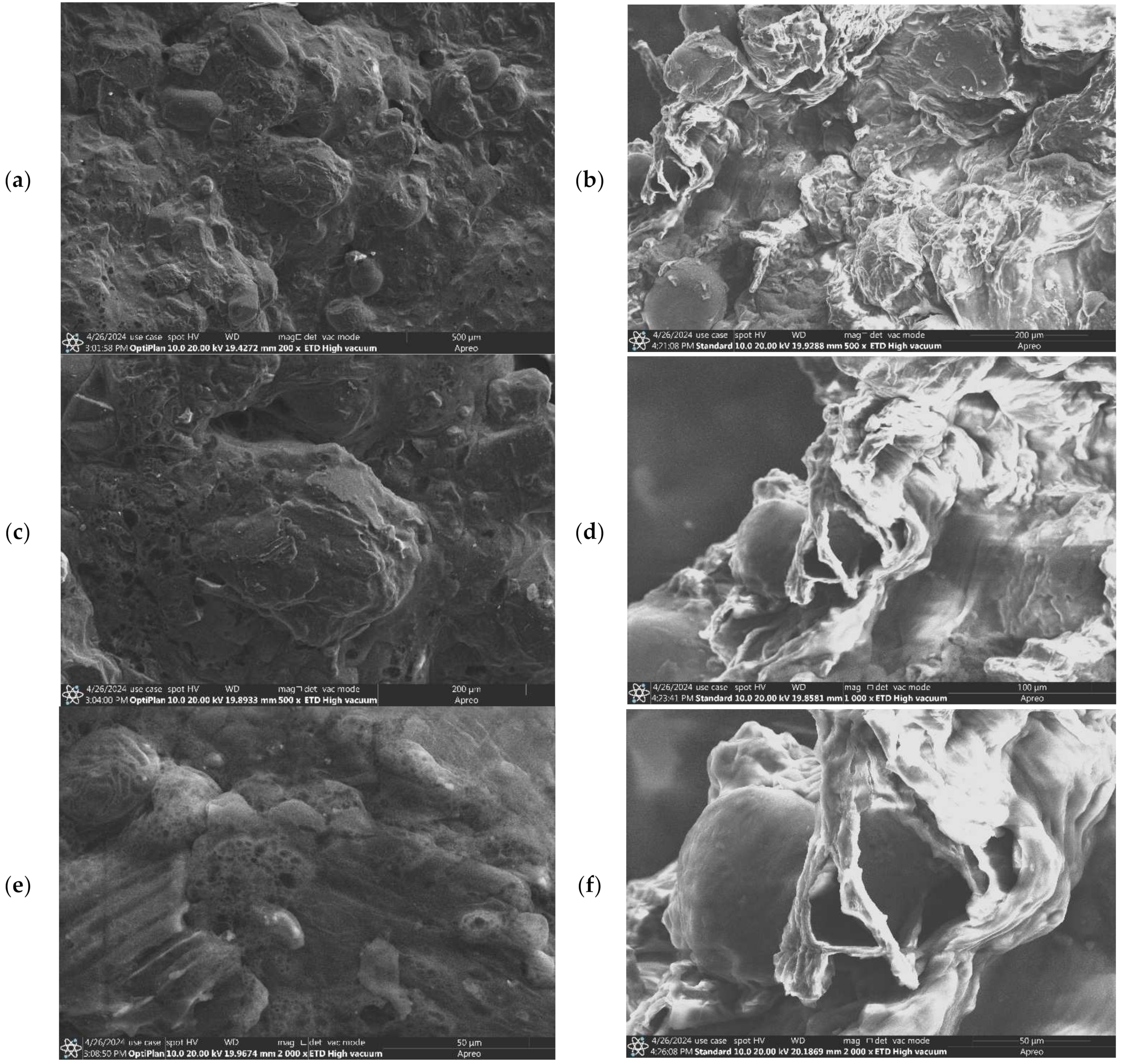 Biotech 13 00039 g008