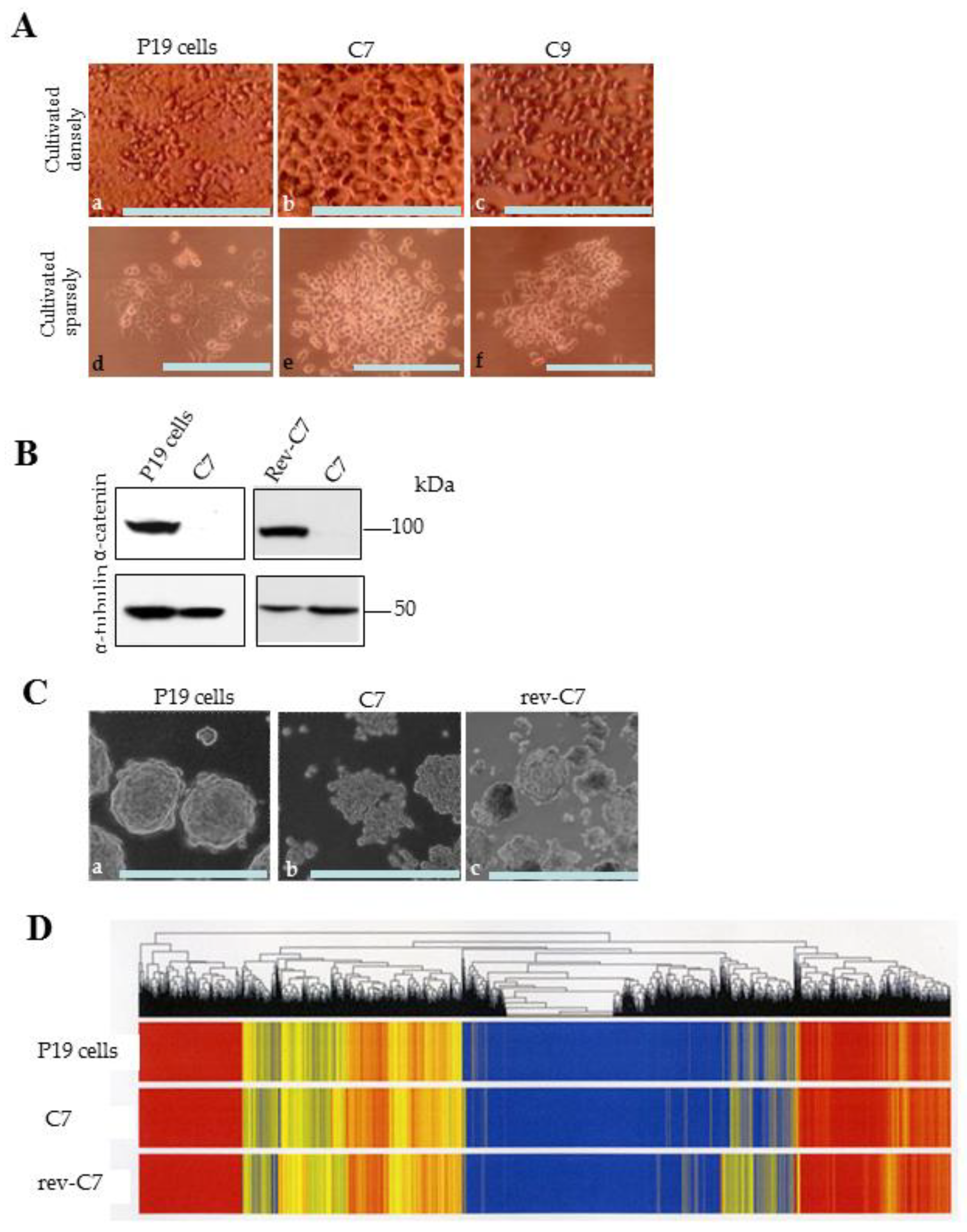 Biotech 13 00041 g002 Biotech 13 00041 g002