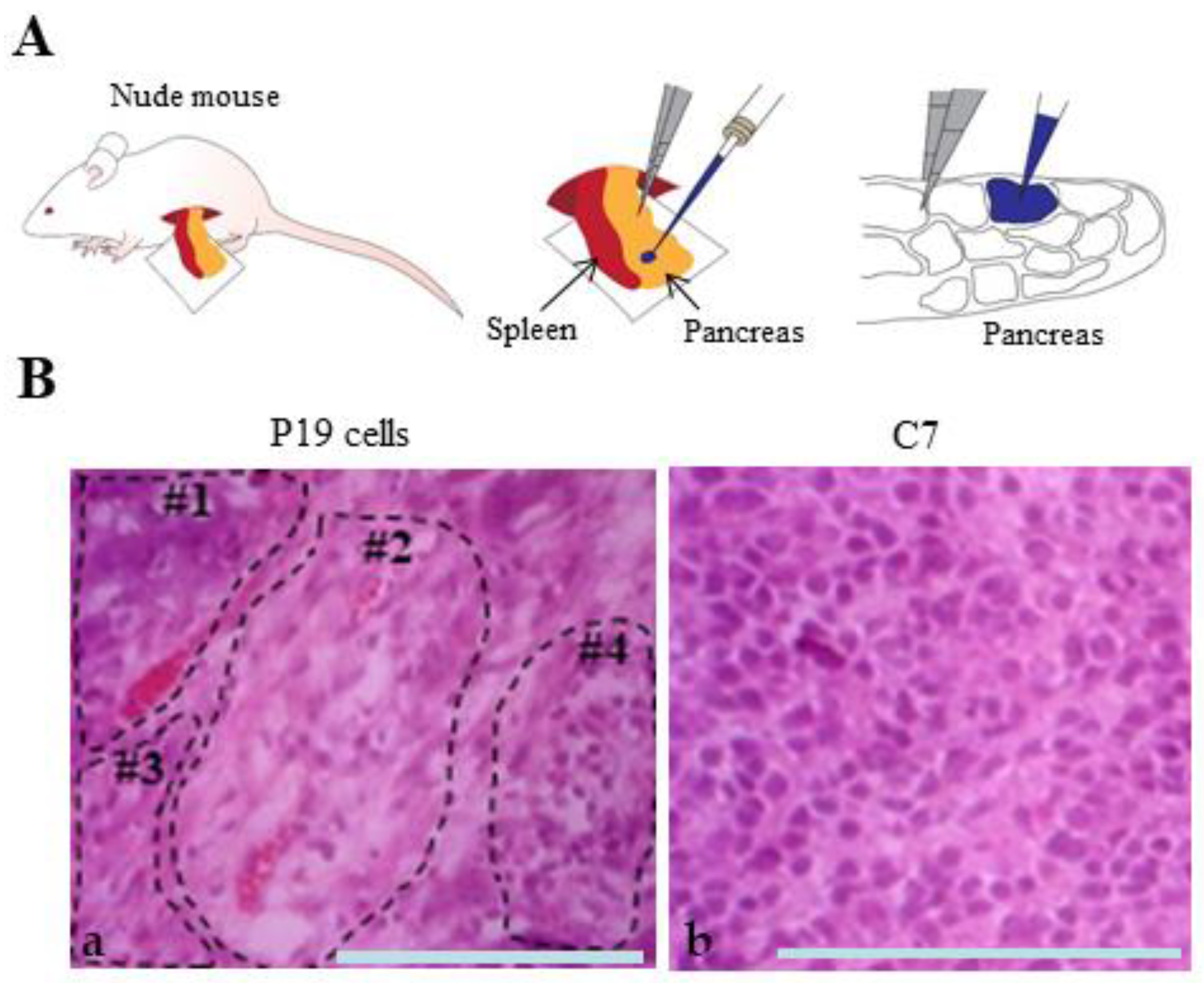 Biotech 13 00041 g005 Biotech 13 00041 g005
