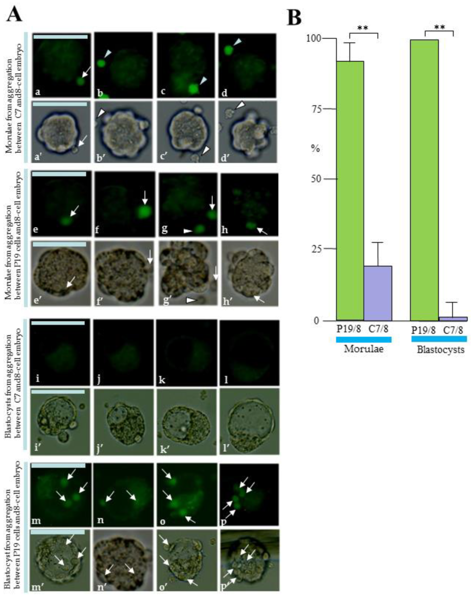 Biotech 13 00041 g006 Biotech 13 00041 g006