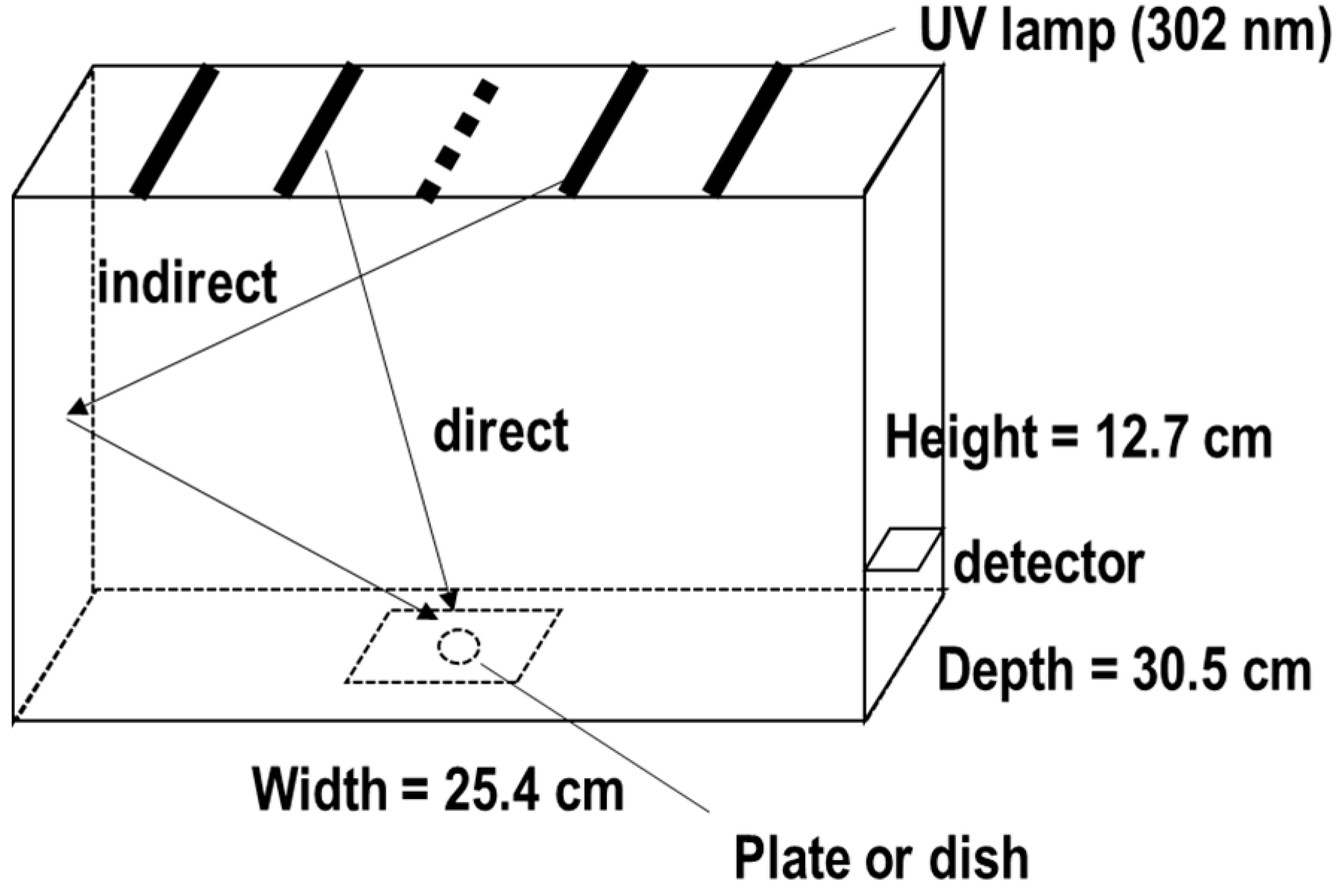 Biotech 13 00044 g001 Biotech 13 00044 g001