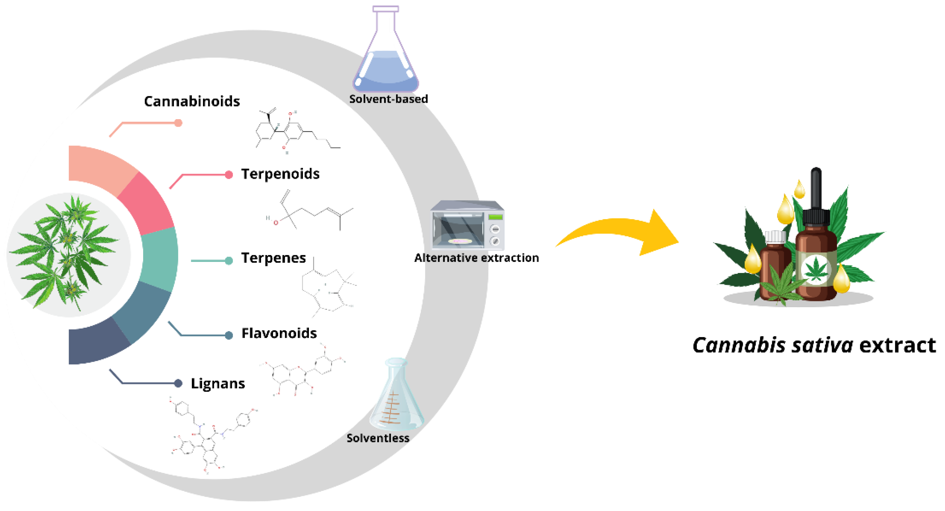 Biotech 13 00053 g002