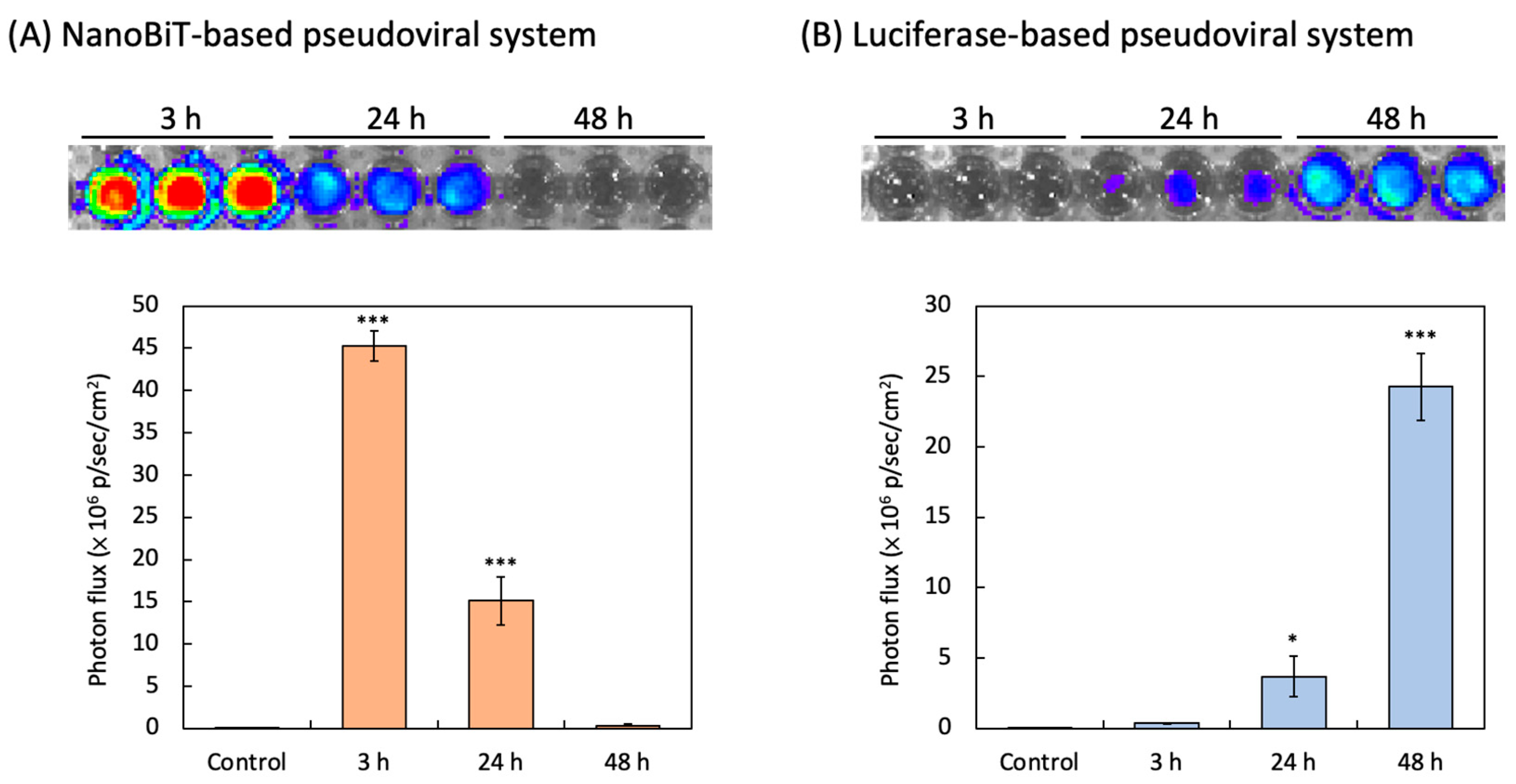 Biotech 14 00020 g003