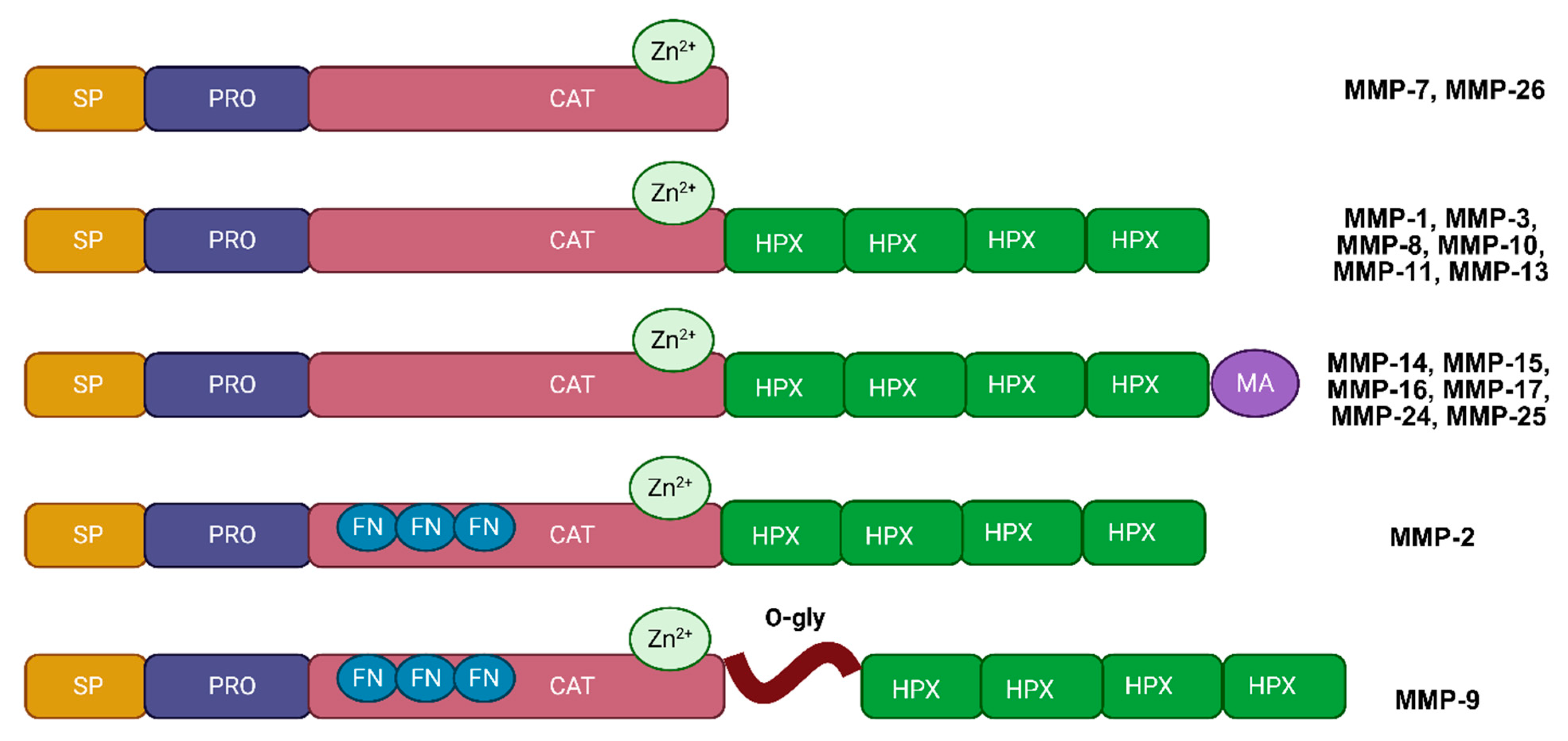 Biotech 14 00028 g001