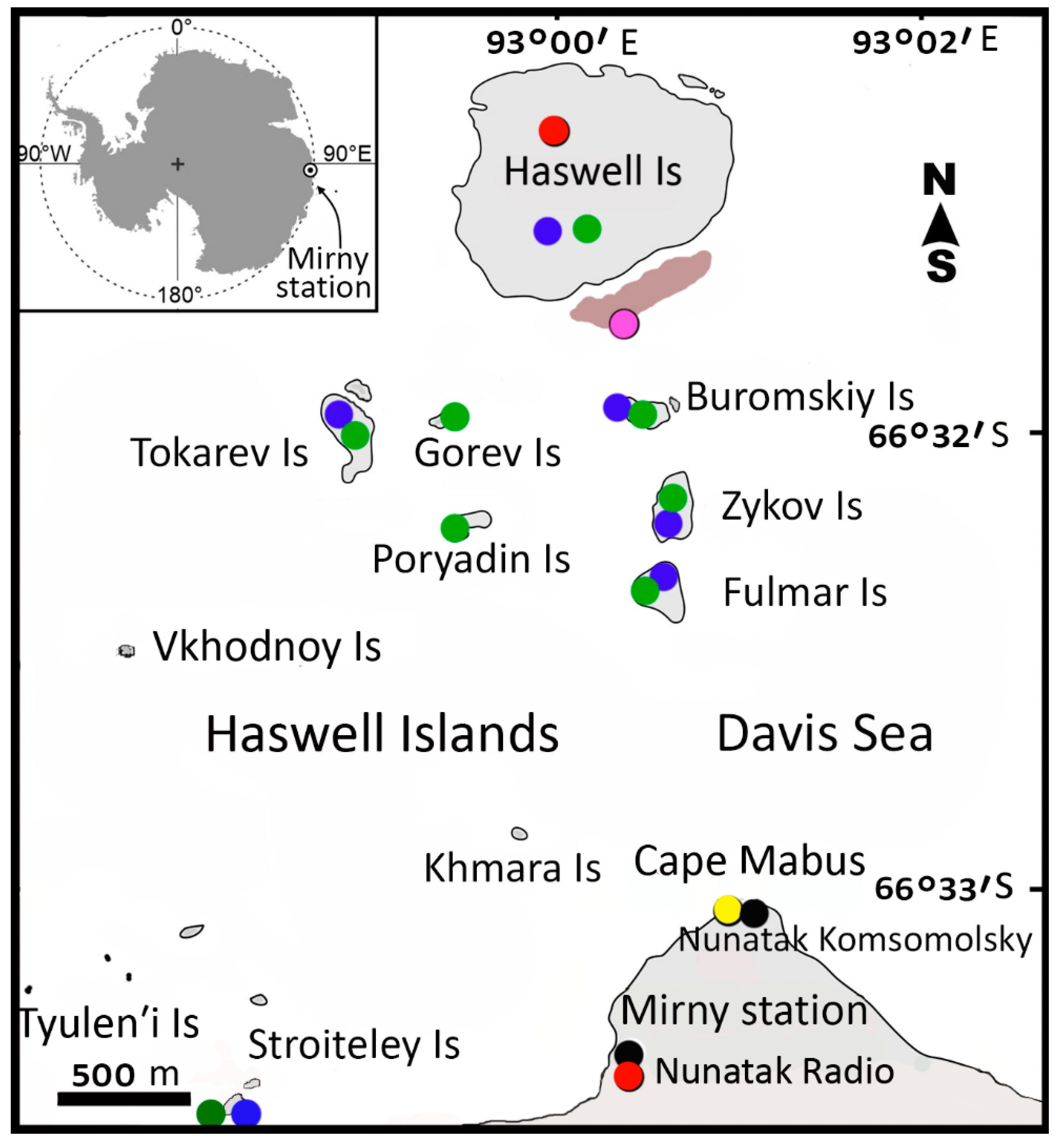 Birds | Free Full-Text | Macroplastic in Seabirds at Mirny, Antarctica |  HTML