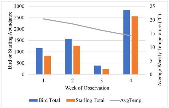 How a Flock of 400 Flying Birds Manages to Turn in Just Half a Second, Smart News