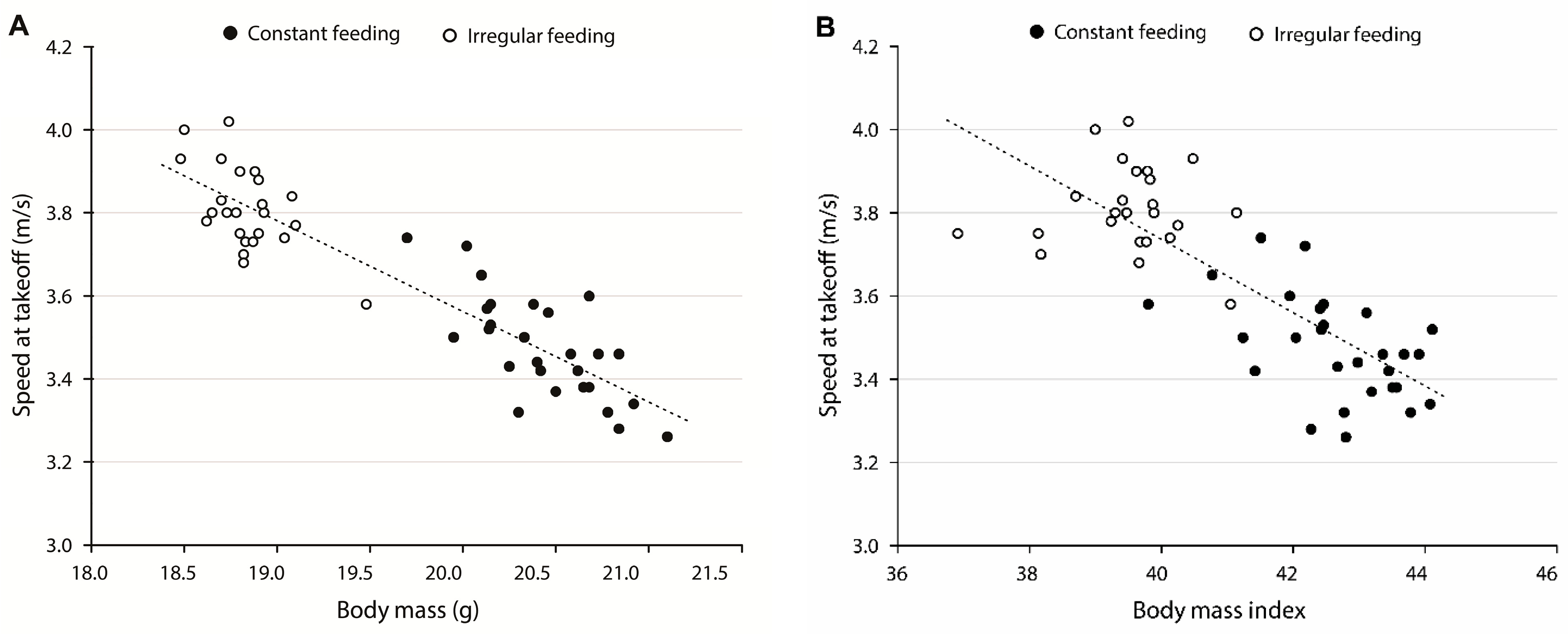Birds 04 00019 g002 Birds 04 00019 g002