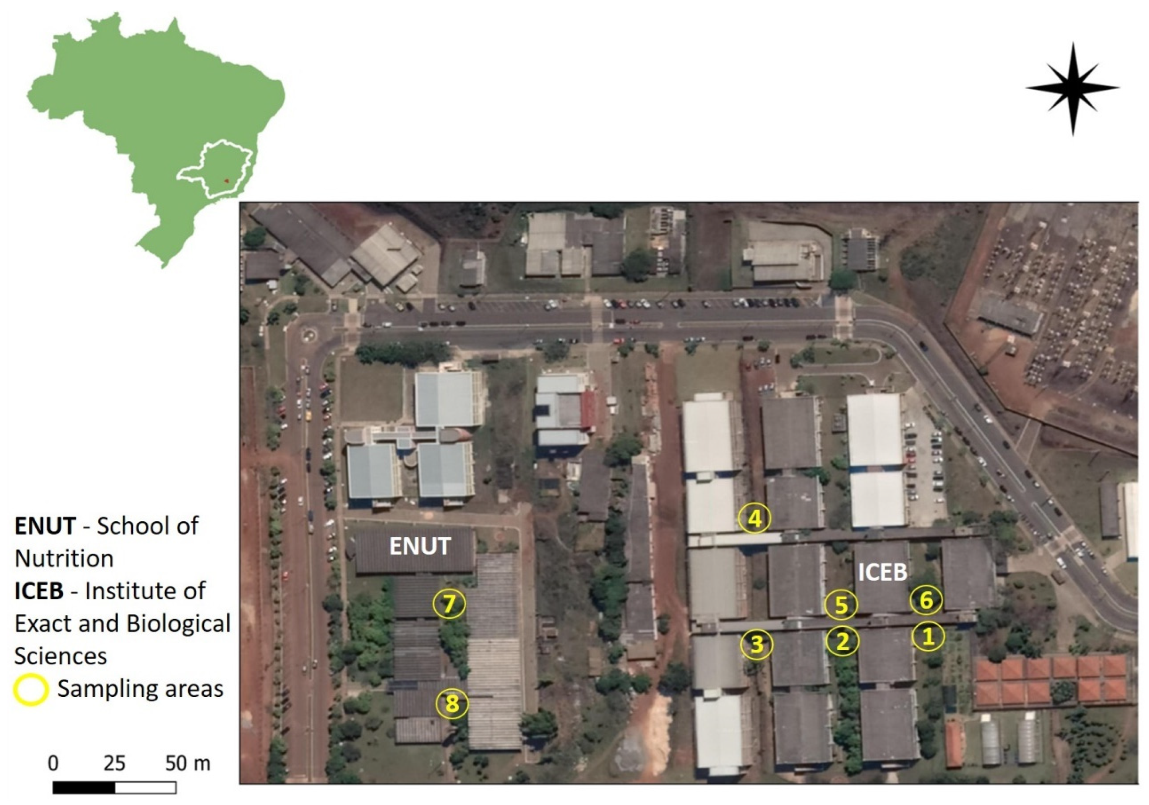 Birds 05 00048 g001 Birds 05 00048 g001