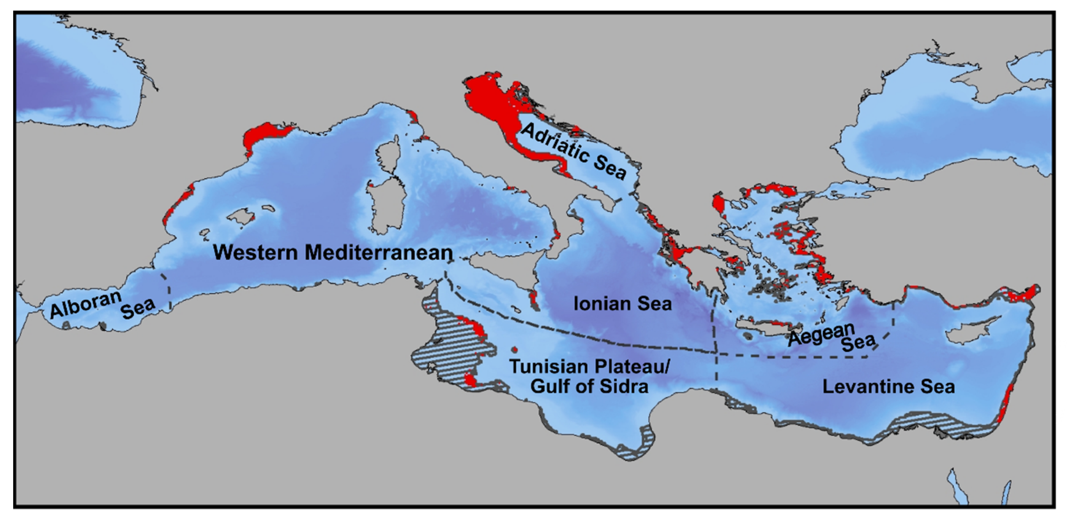 Biology and Life Sciences Forum | Free Full-Text | Investigating the  Distribution of Foraging Habitat for Loggerhead Sea Turtles, Caretta  caretta, in the Mediterranean Sea