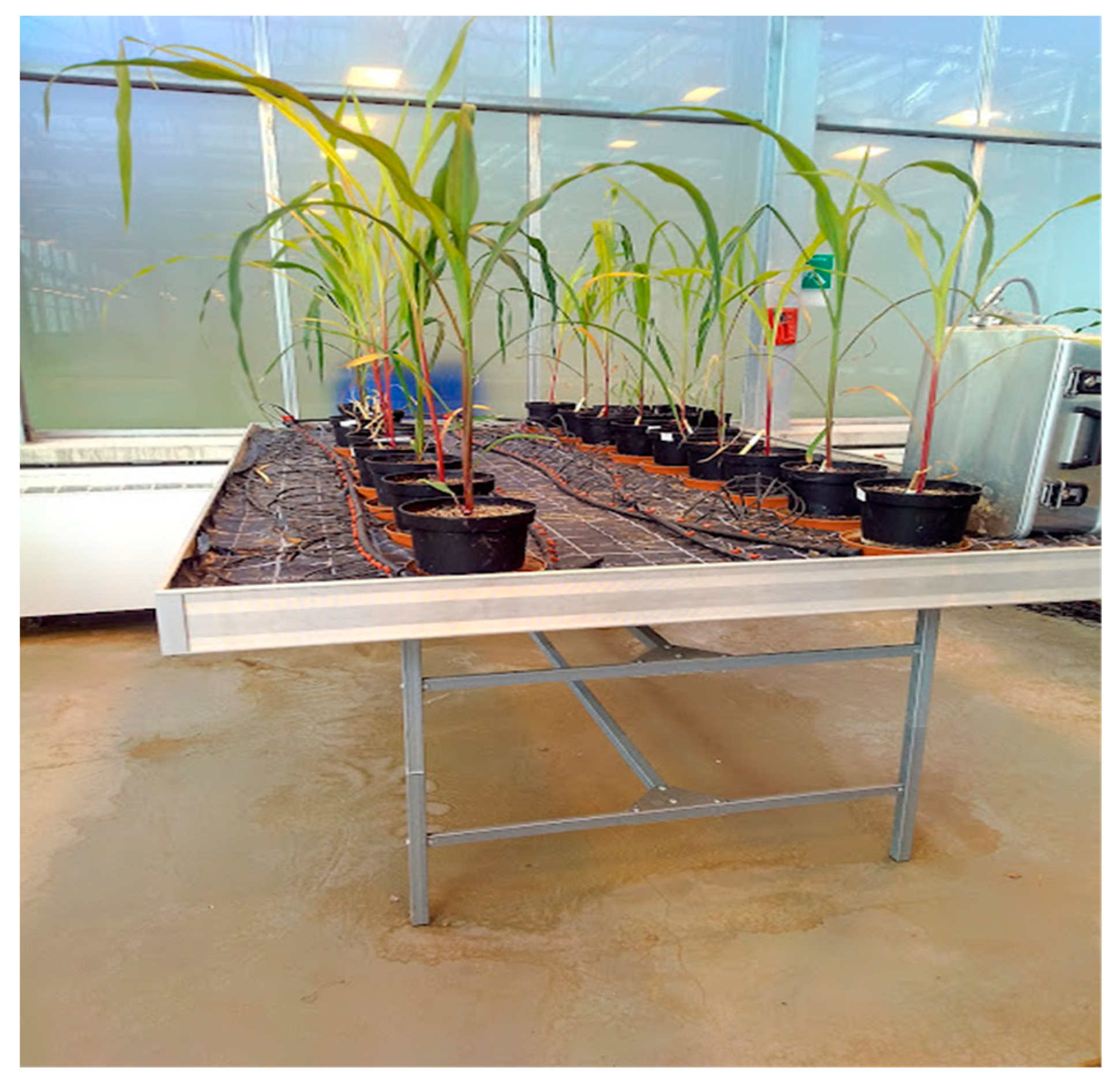 Blsf 27 00012 sch001