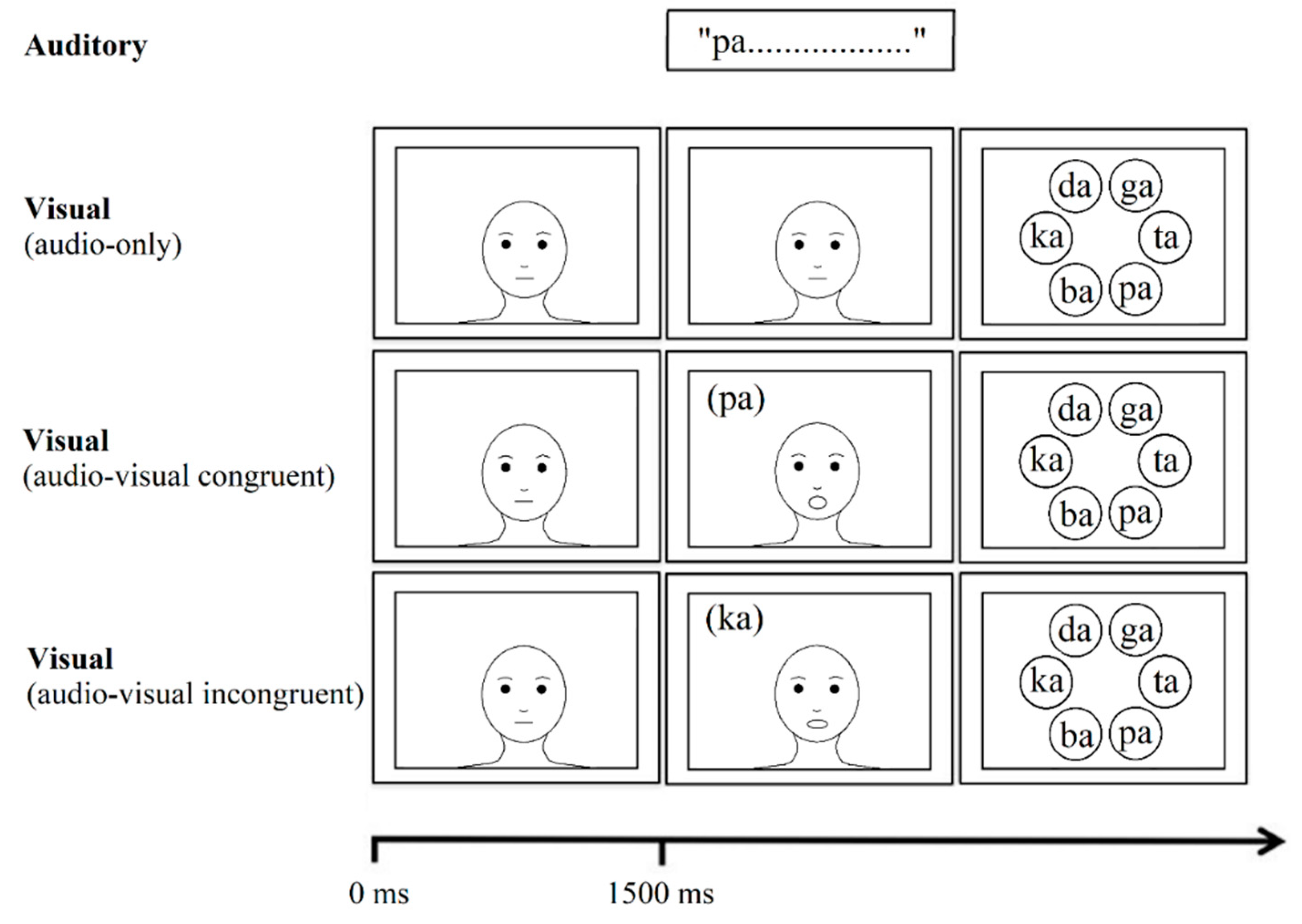 Brain Sciences | Free Full-Text | Language Experience Changes Audiovisual  Perception | HTML