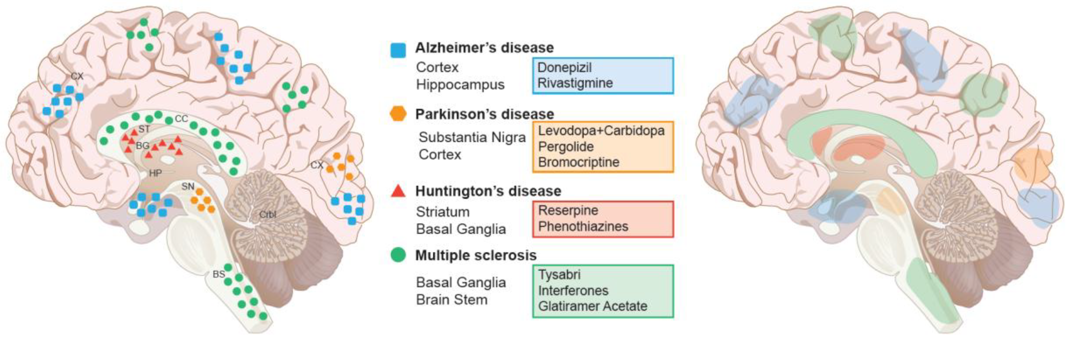 Болезнь Альцгеймера ацетилхолин