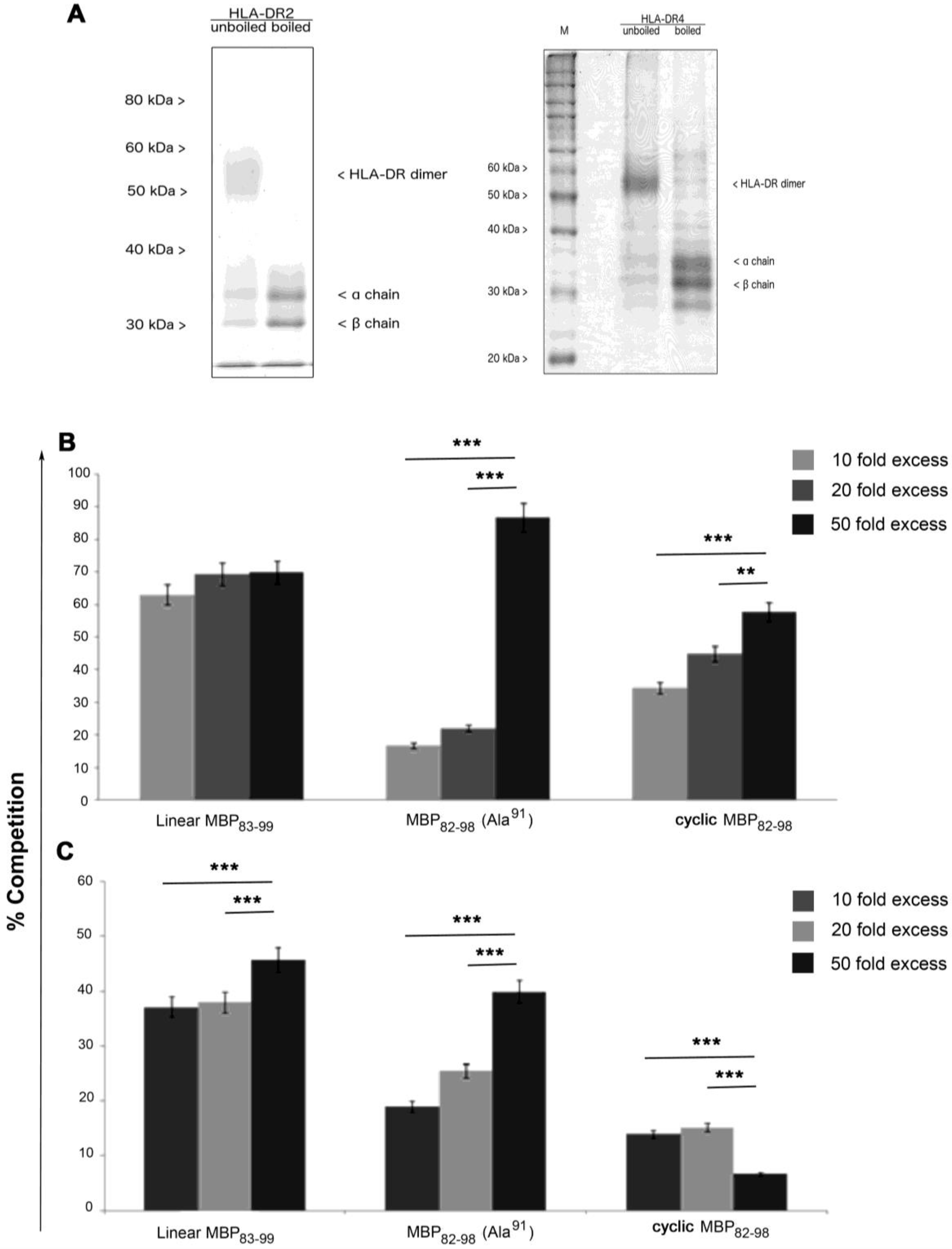 Brainsci 08 00213 g004