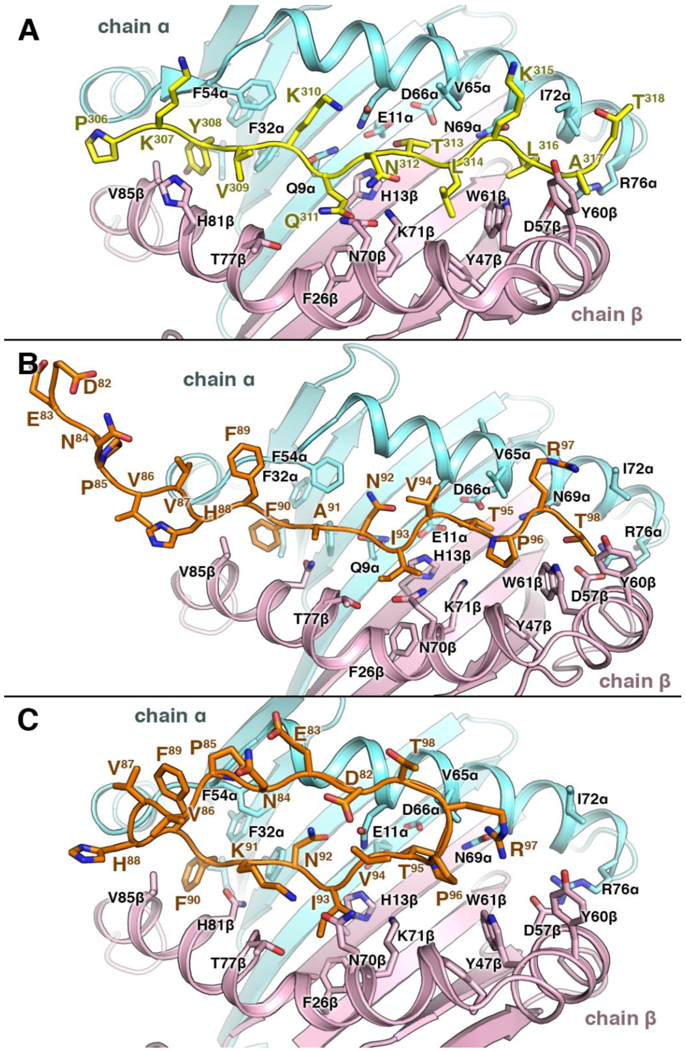 Brainsci 08 00213 g006