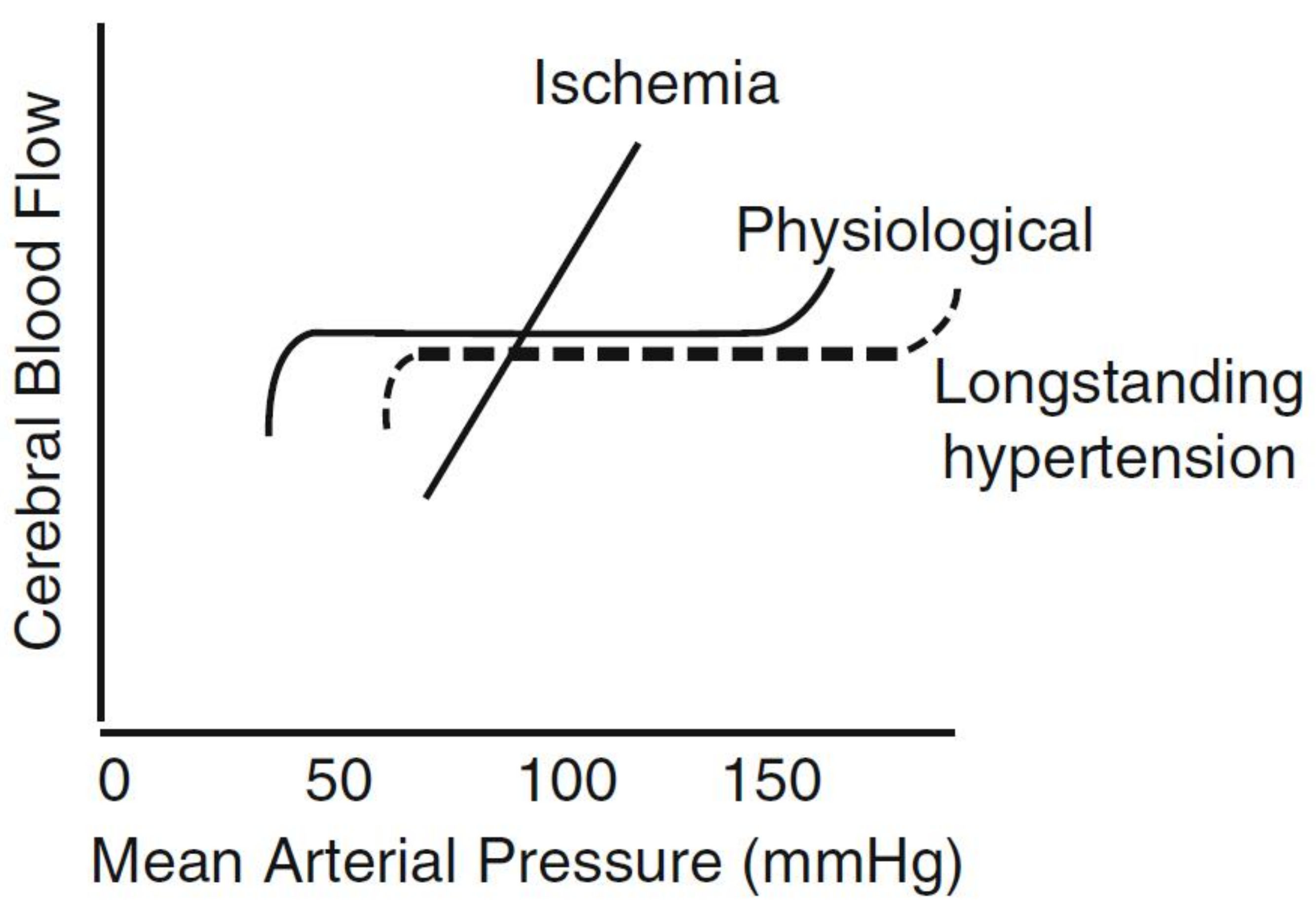 Brain Sciences Free Full Text Blood Pressure Gradients In The Brain Their Importance To Understanding Pathogenesis Of Cerebral Small Vessel Disease Html