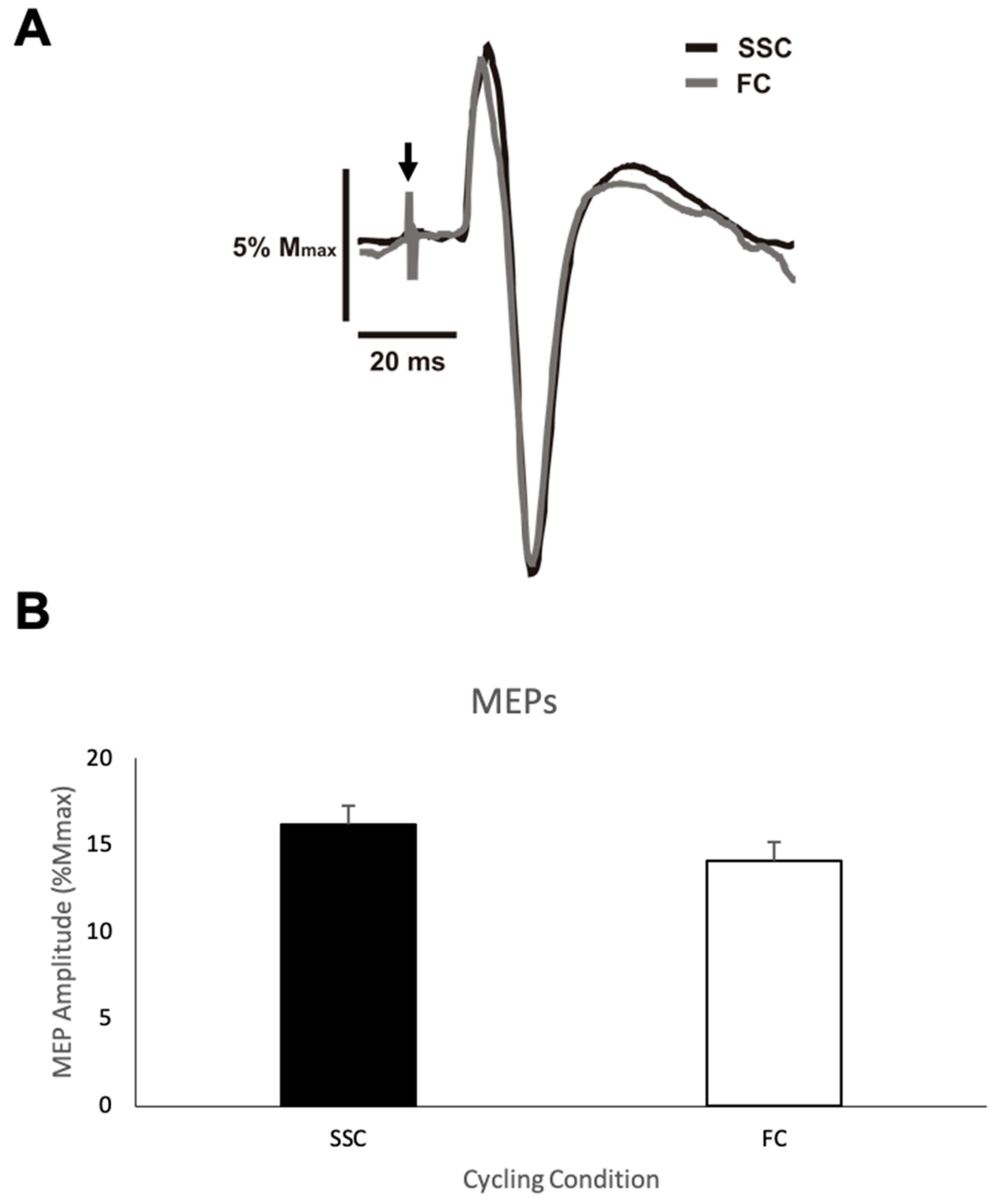 Experimental design. A first baseline (15 MEP for the biceps brachii