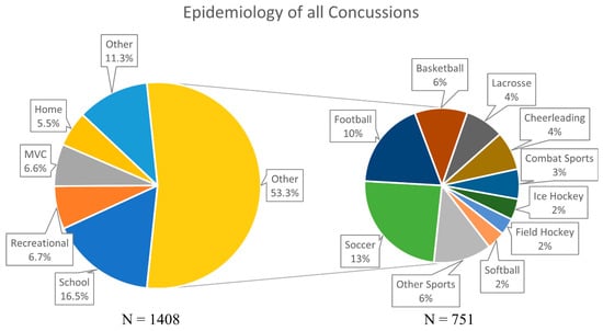 A Sport Where You Purposely Incur Head Injuries?