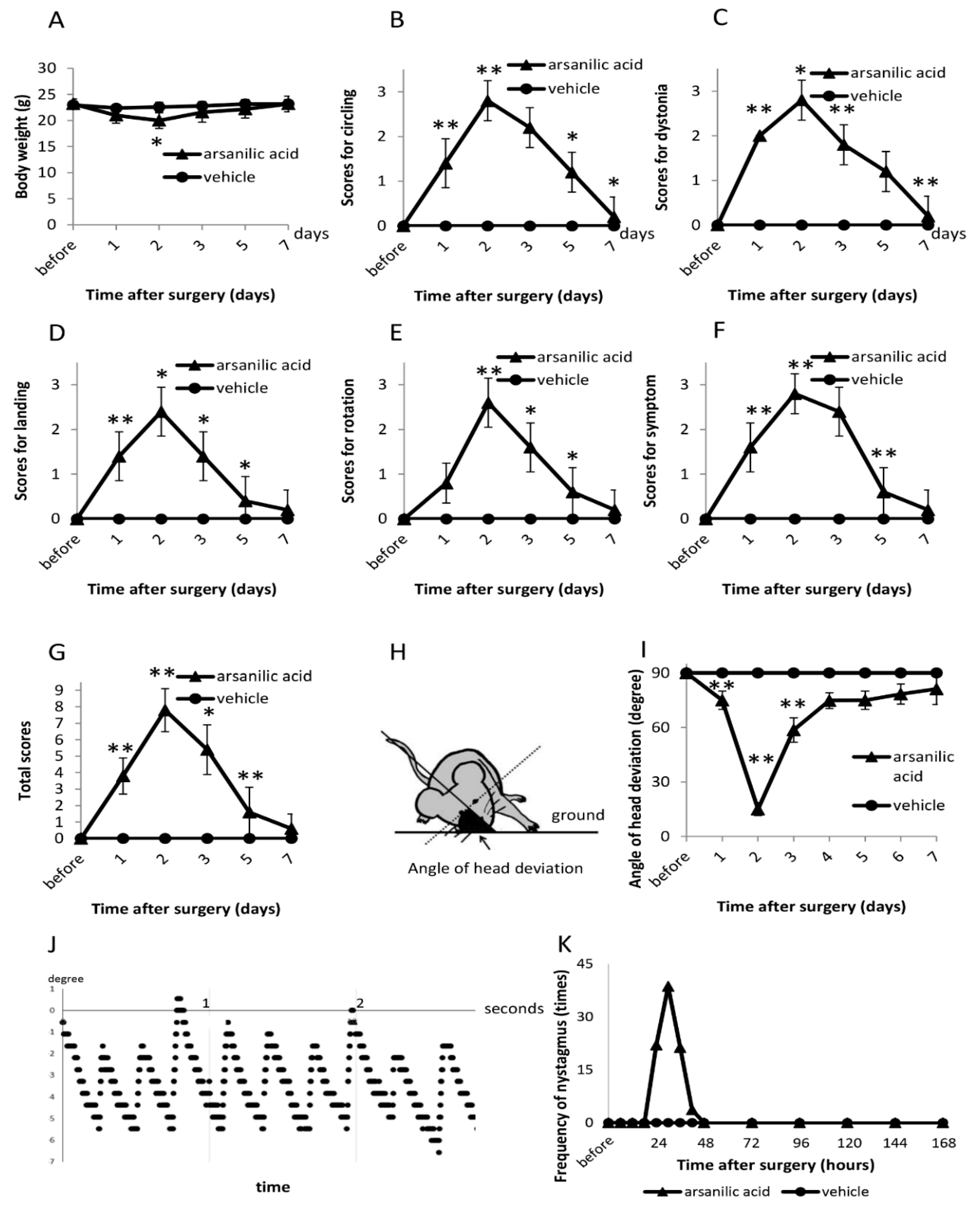 https://www.mdpi.com/brainsci/brainsci-09-00329/article_deploy/html/images/brainsci-09-00329-g001.png