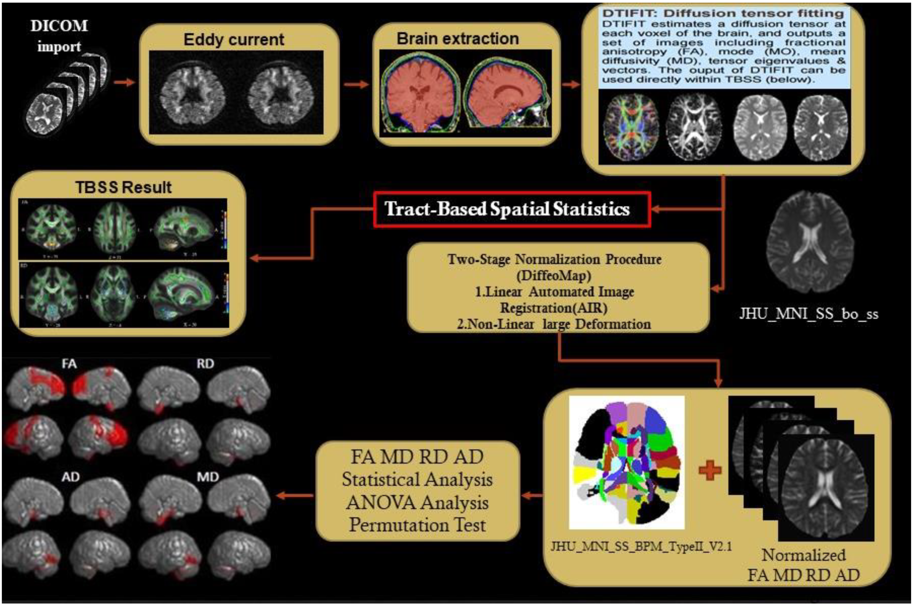 Brain Sciences | Free Full-Text | Diffusion Tensor Magnetic