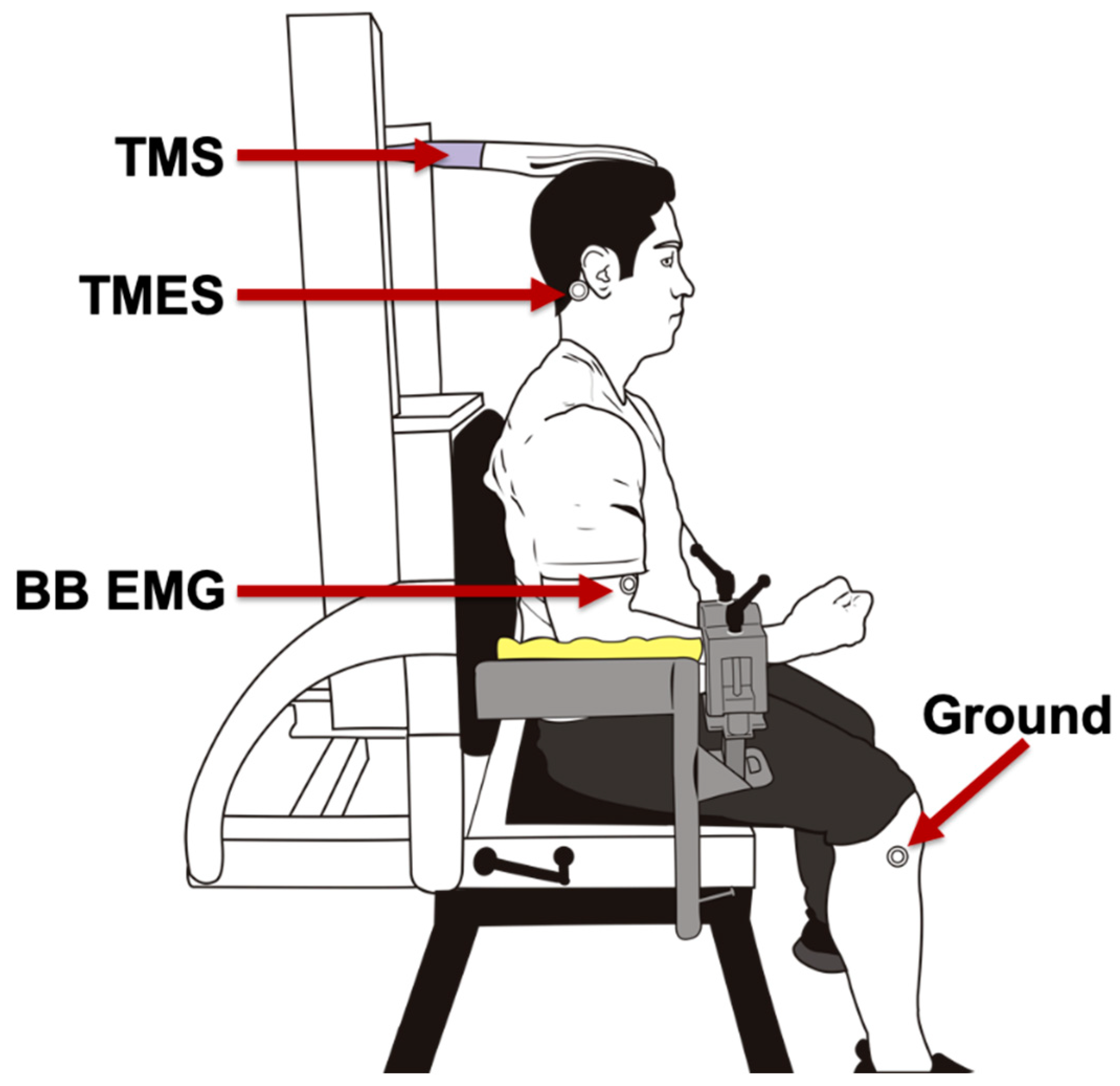 Brainsci 10 00033 g001
