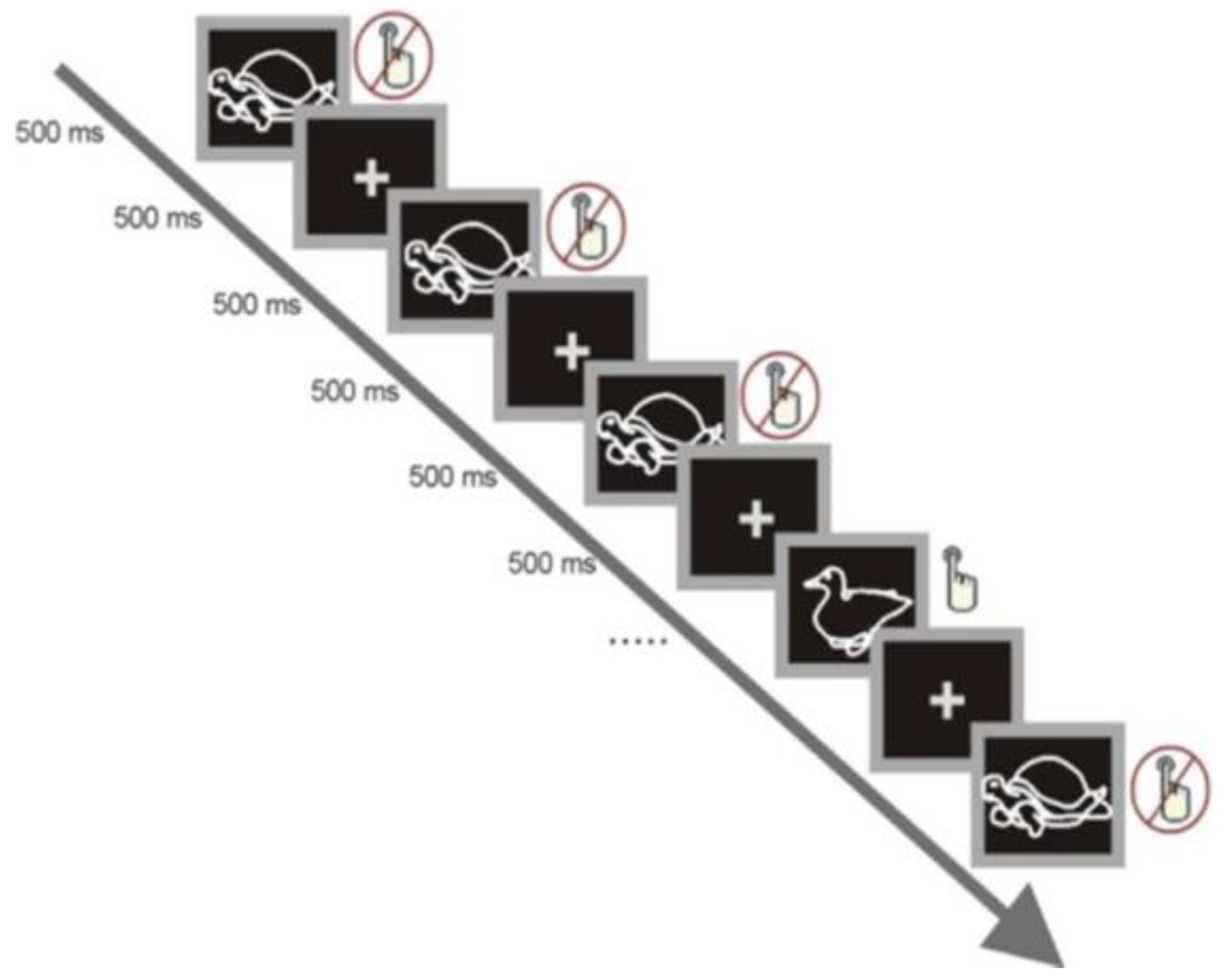 PDF) A test of brain electrical source analysis (BESA): A simulation study