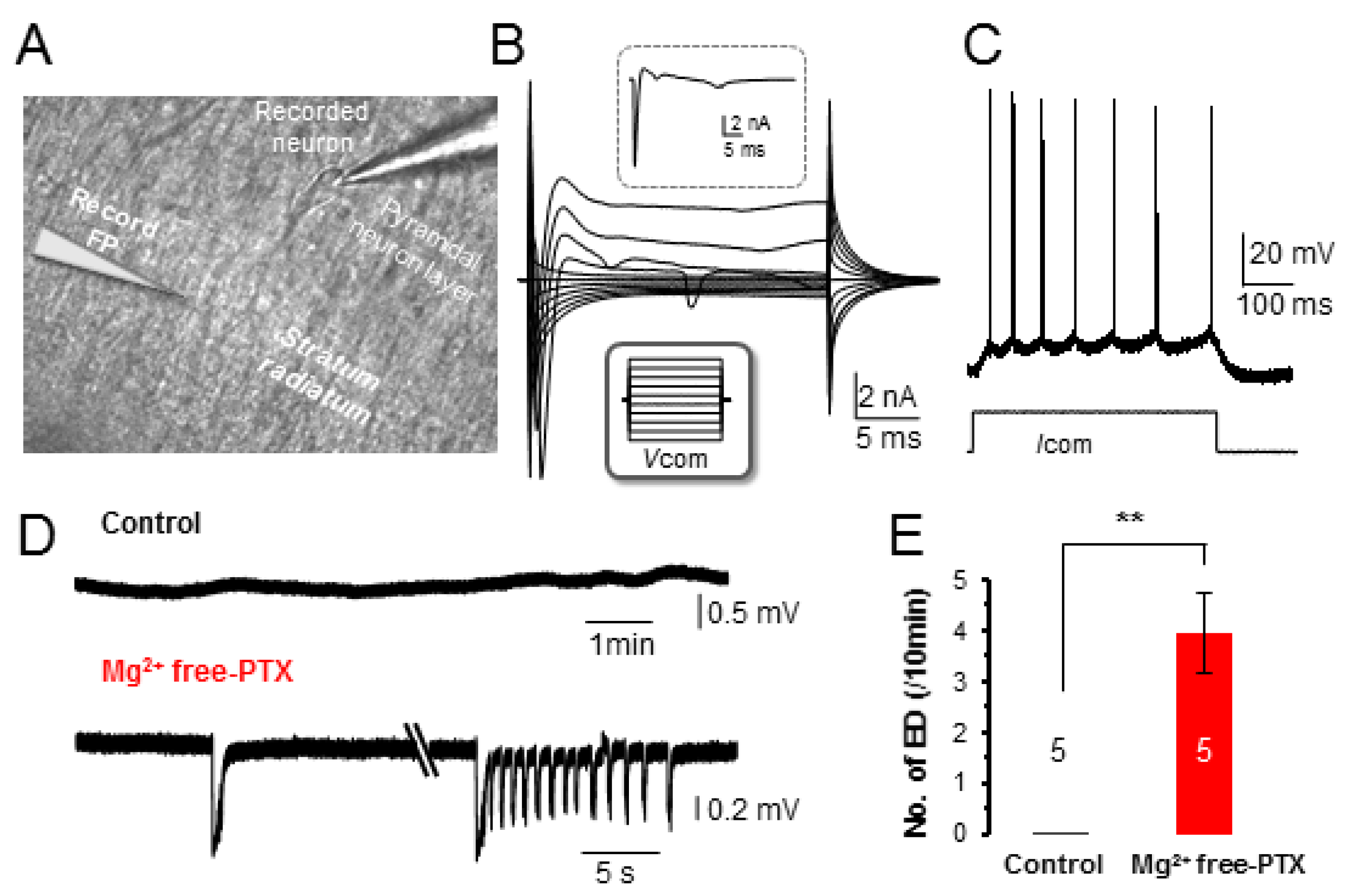 Brainsci 10 00208 g001a Brainsci 10 00208 g001a