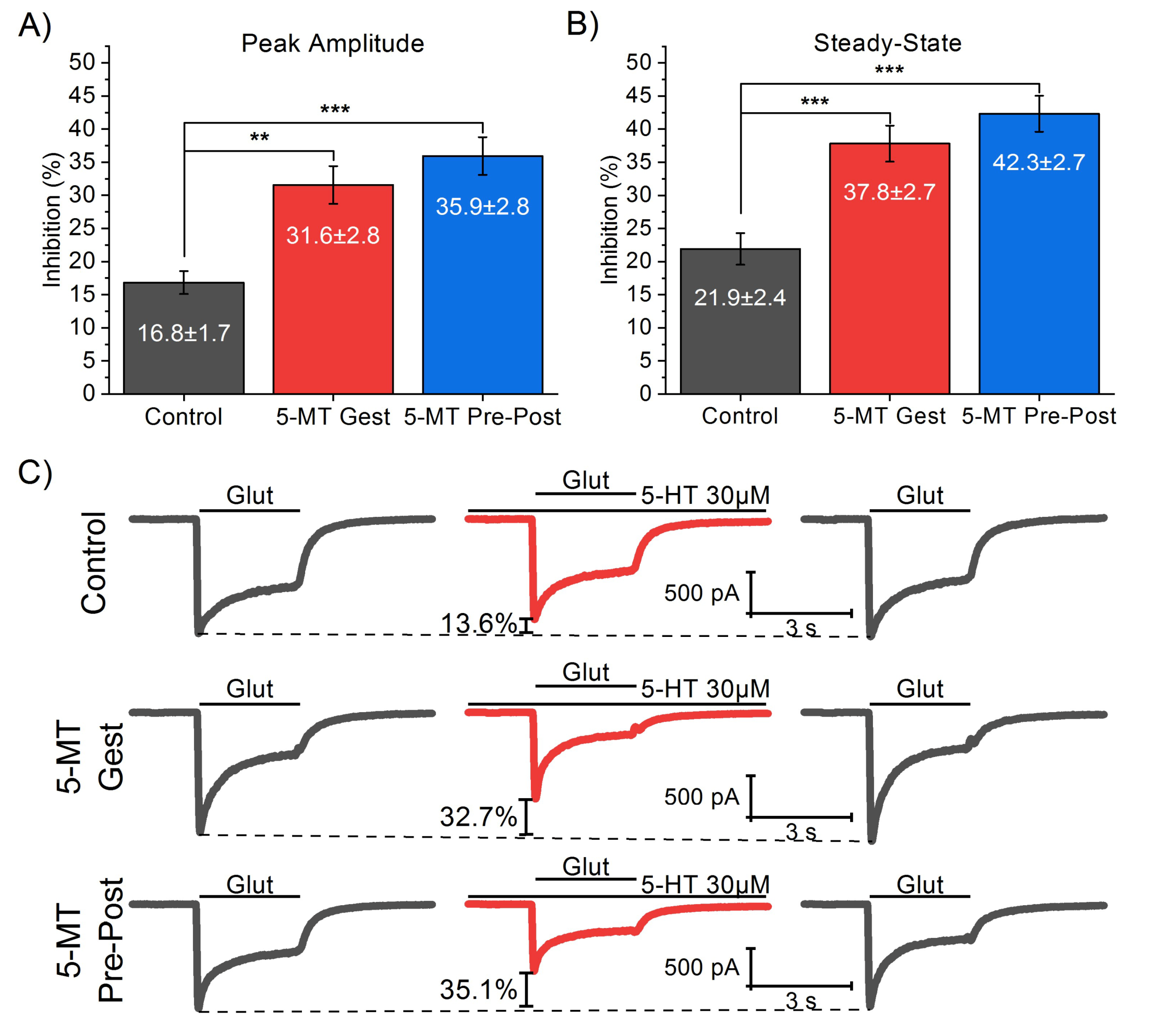 Brainsci 10 00221 g002