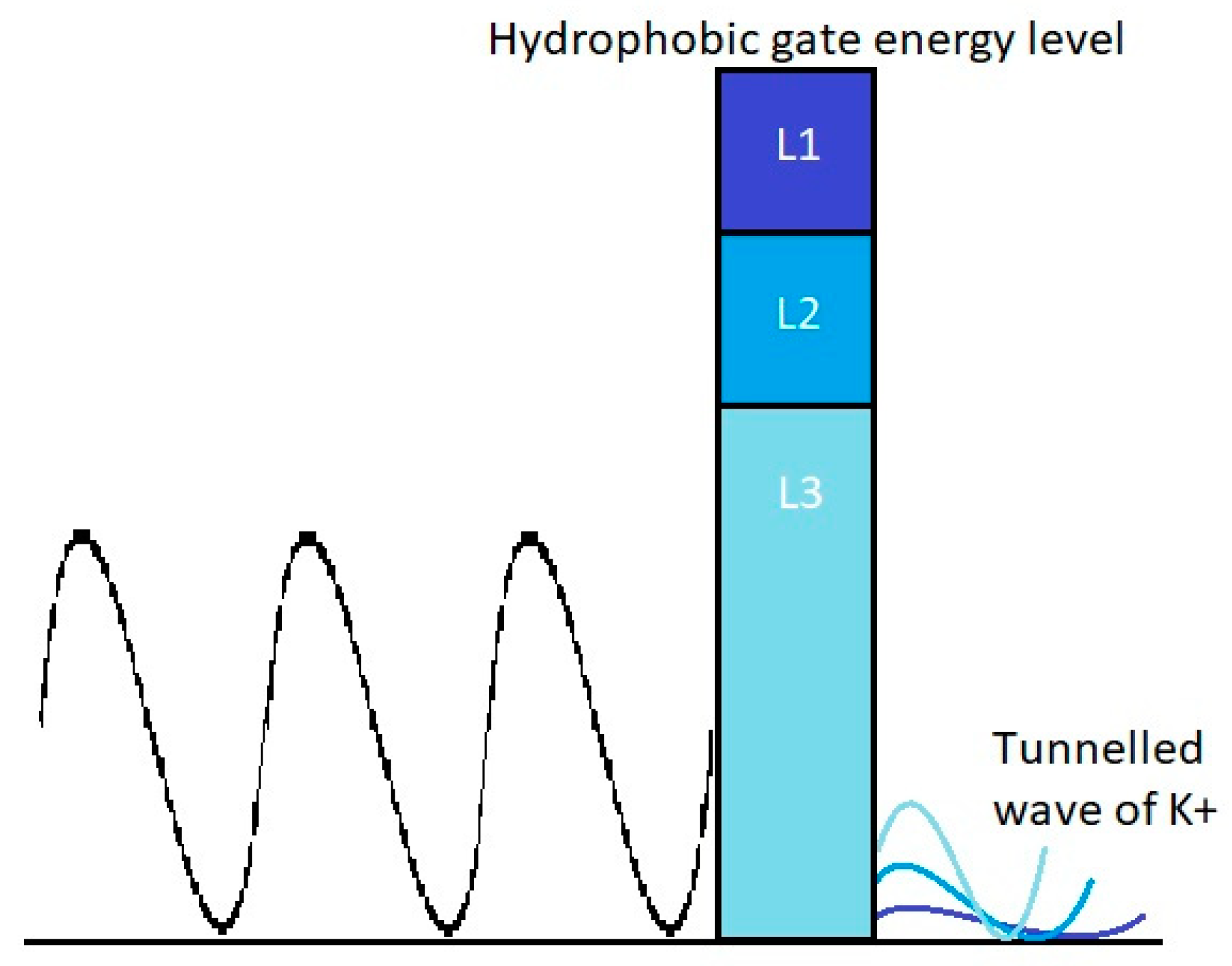 Brainsci 10 00241 g003