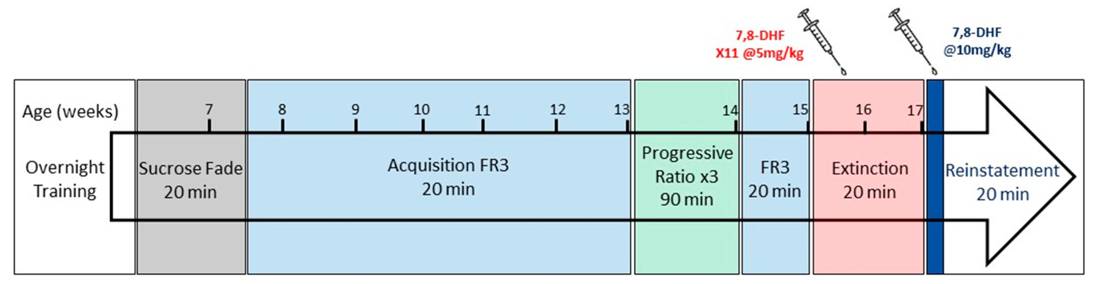 Brain Sciences Free Full Text 7 8 Dihydroxyflavone Enhances Cue Conditioned Alcohol Reinstatement In Rats Html