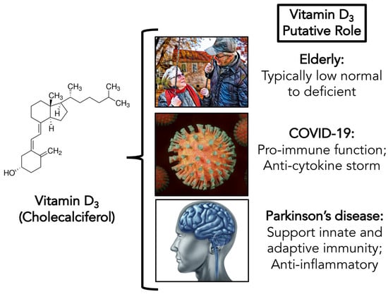 Brain Sciences Free Full Text Potential Role Of Vitamin D In The Elderly To Resist Covid 19 And To Slow Progression Of Parkinson S Disease Html