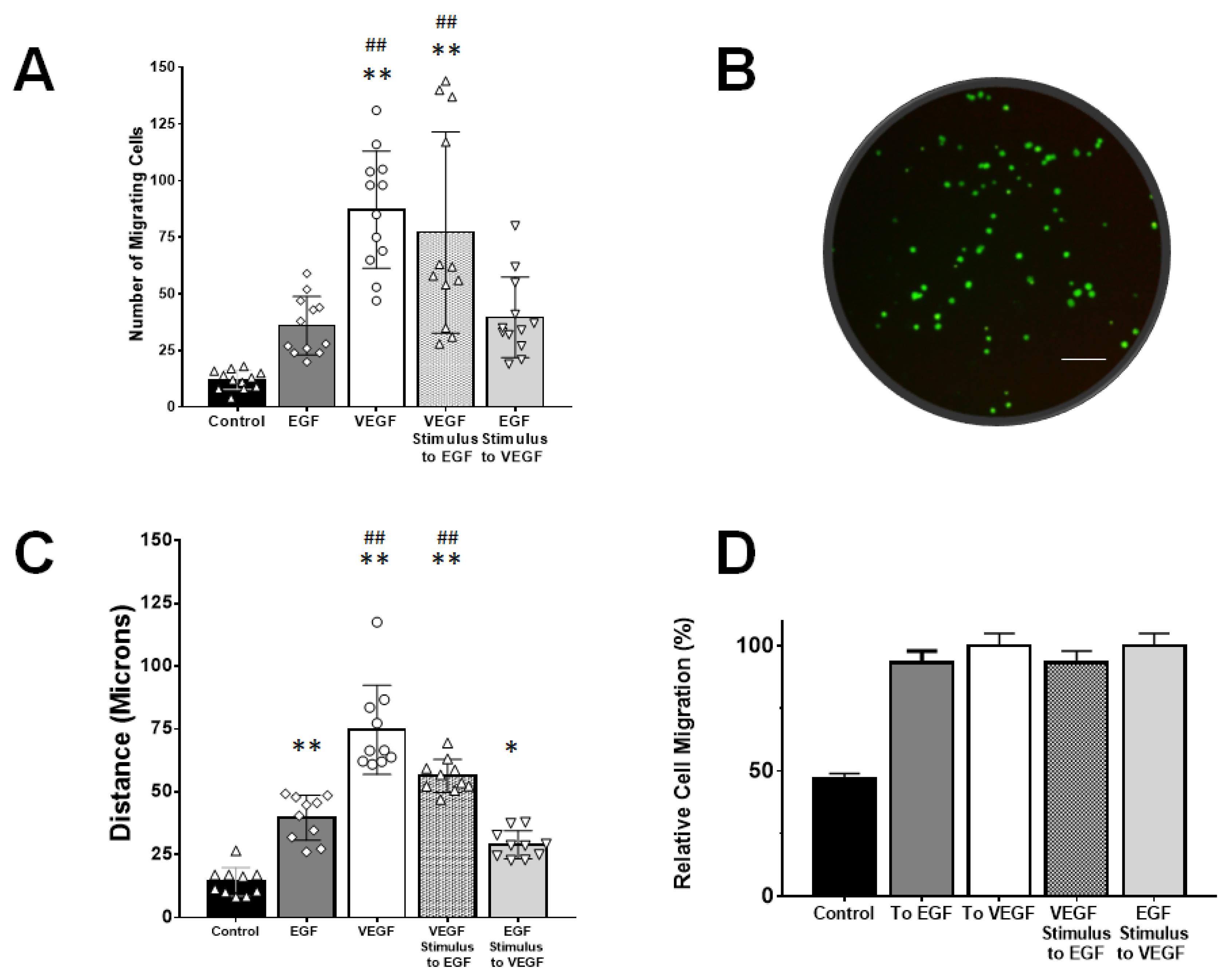 Brainsci 10 00330 g004
